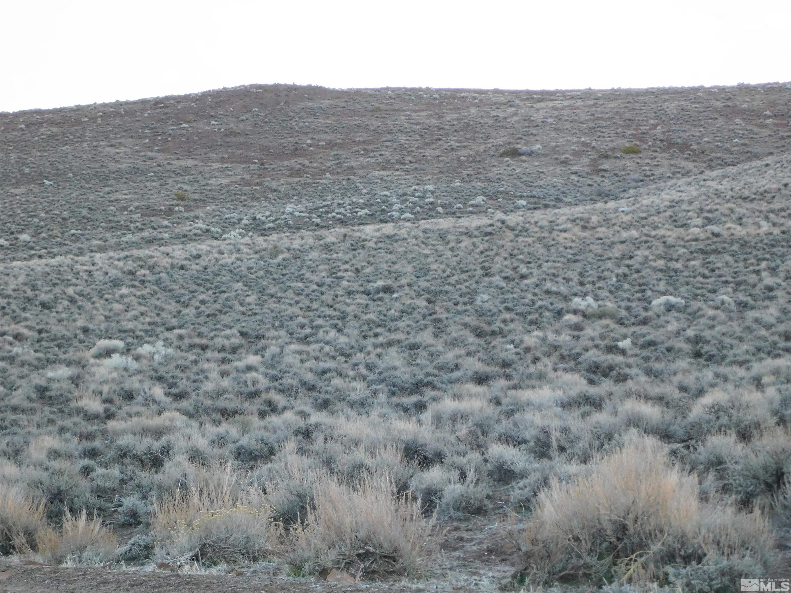 00610106 Schaad Property Photo 12
