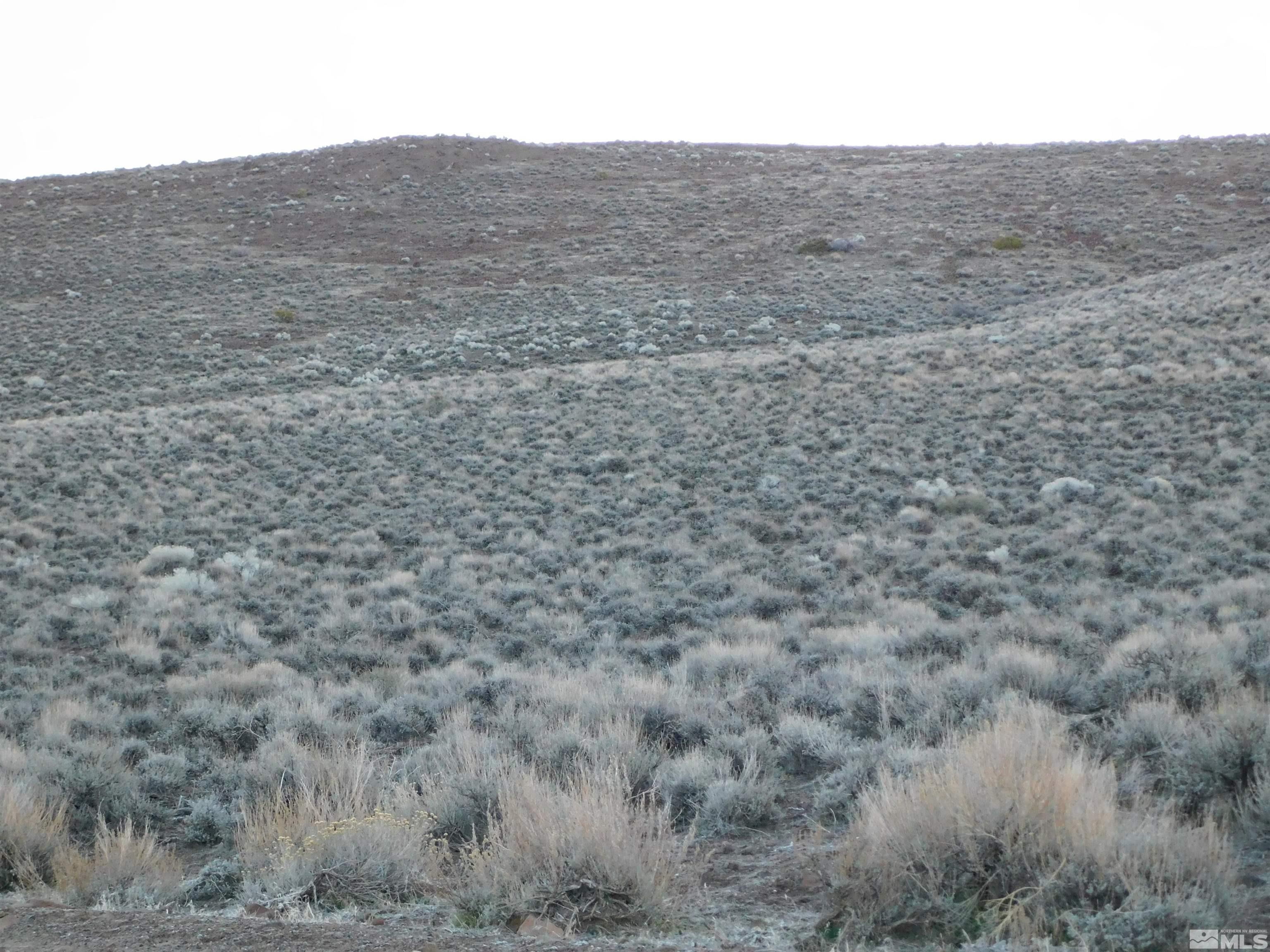 00610106 Schaad Property Photo 13