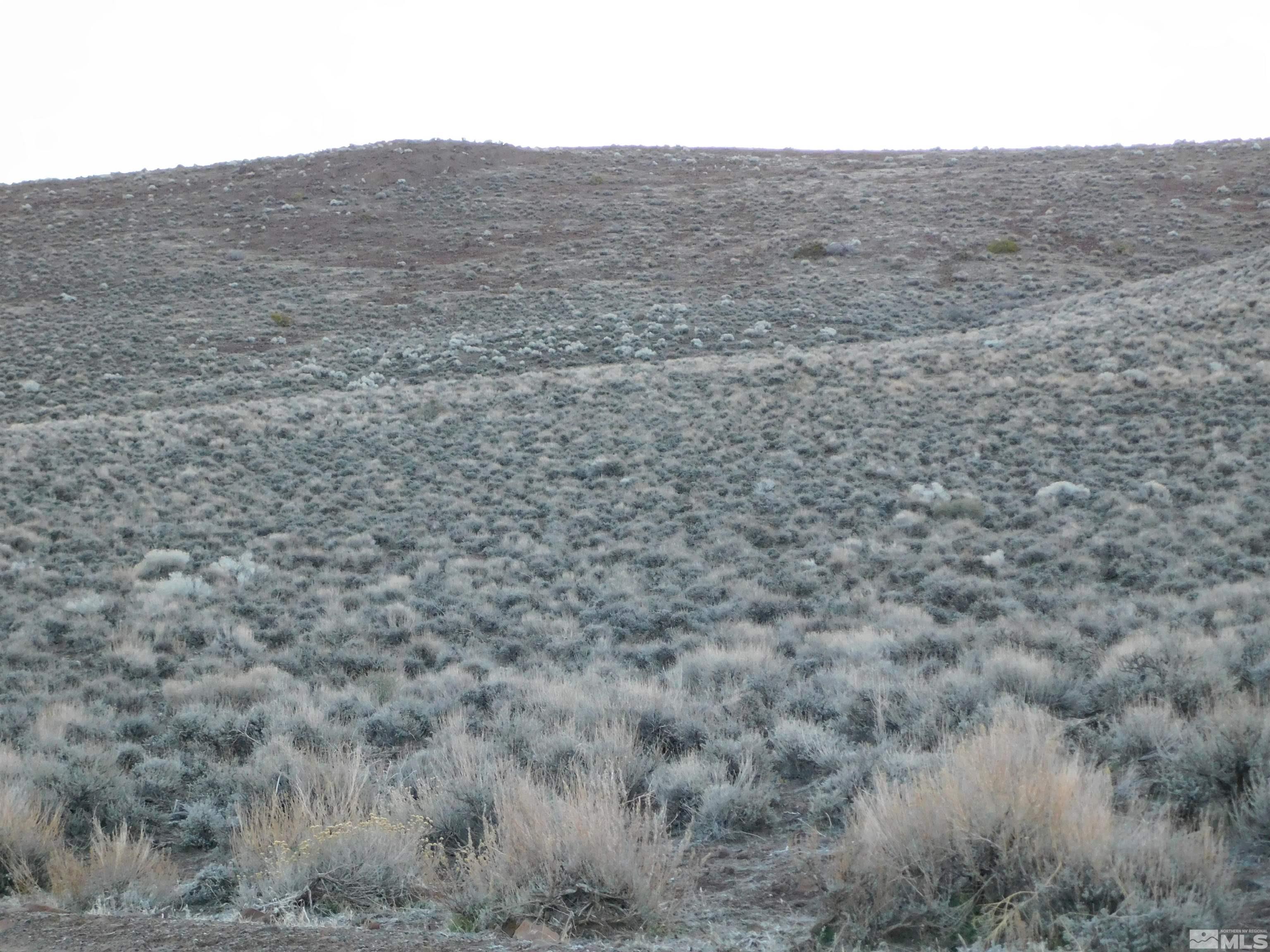 00610106 Schaad Property Photo 14