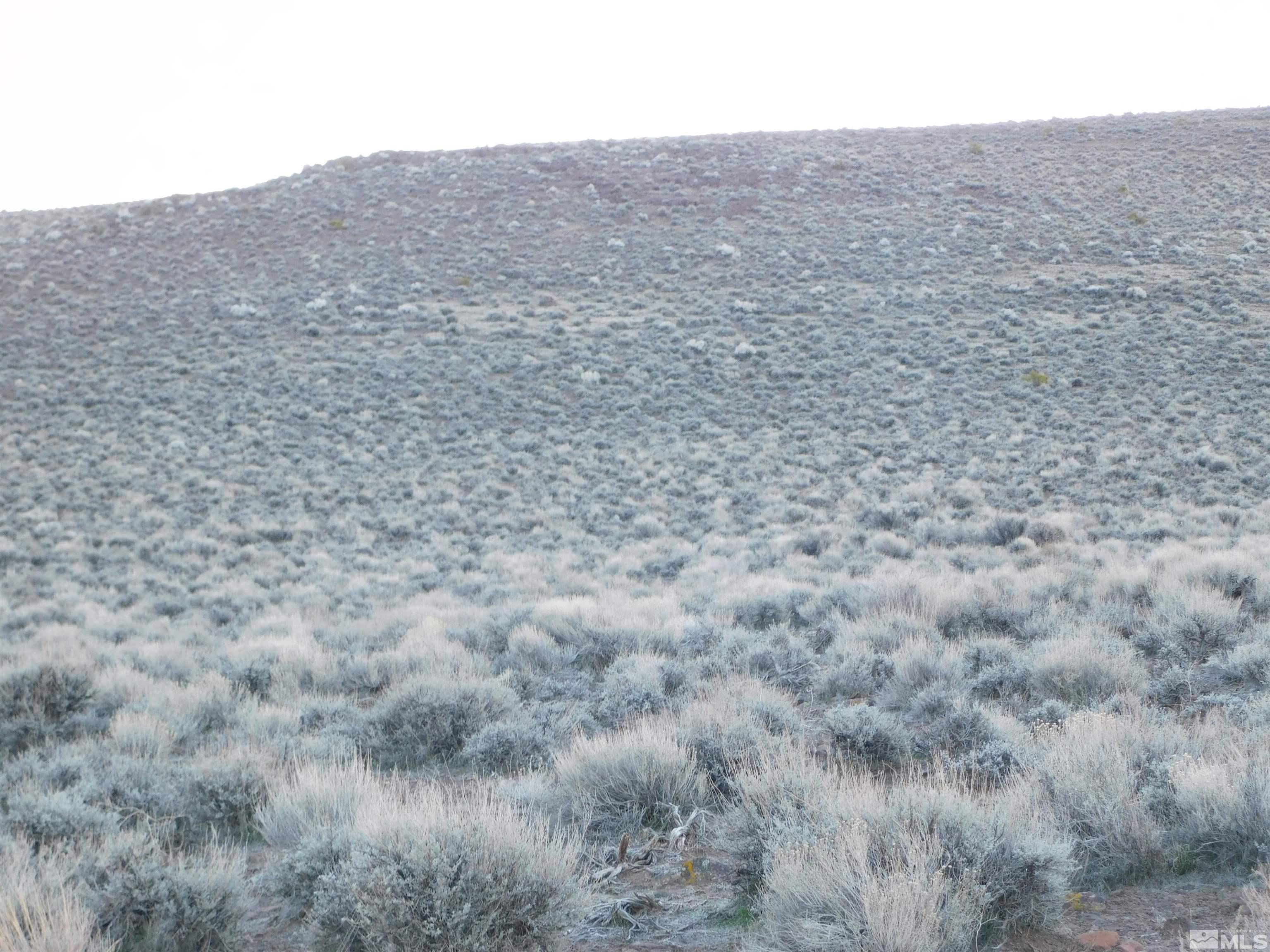 00610106 Schaad Property Photo 15