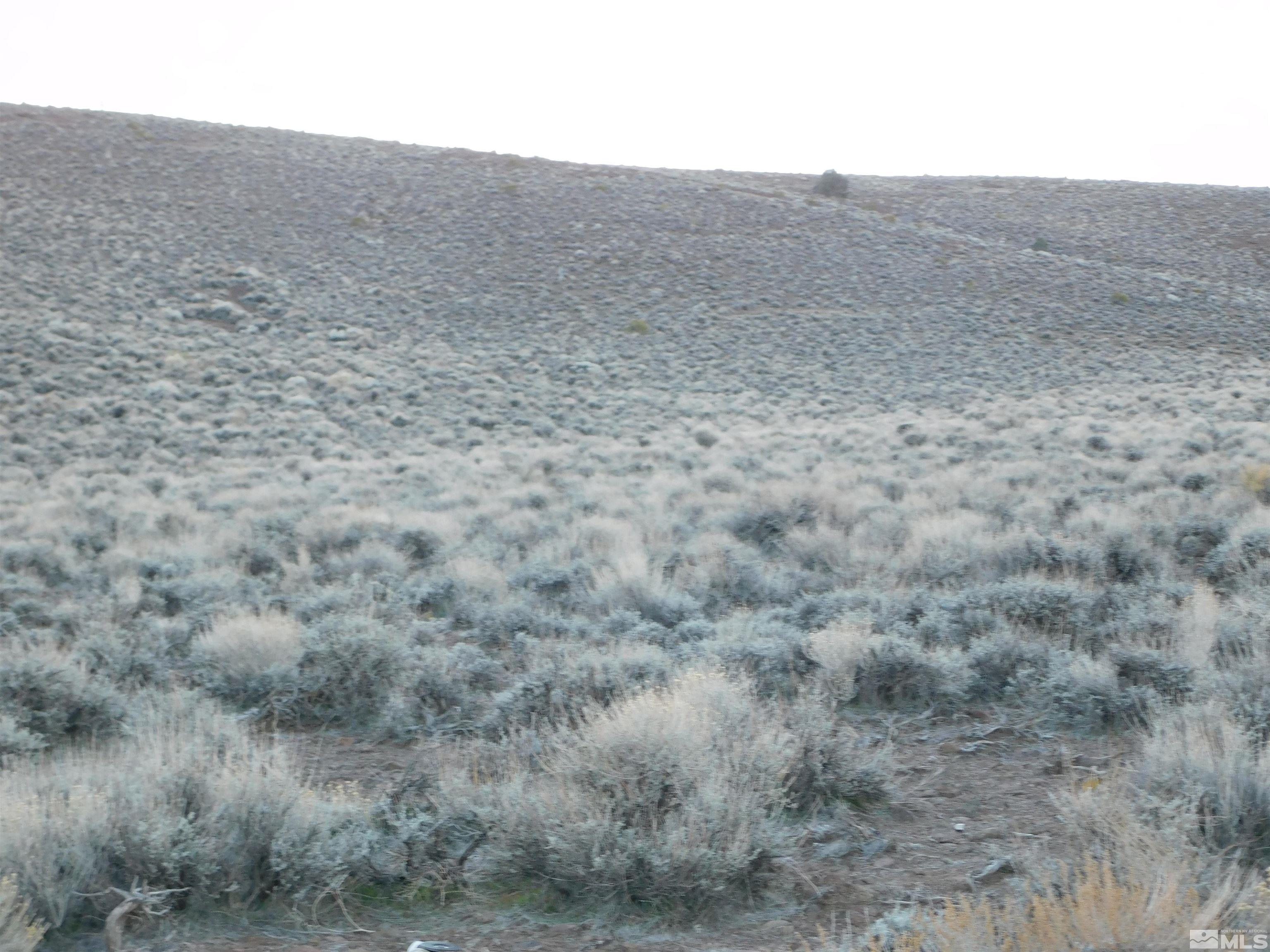 00610106 Schaad Property Photo 16