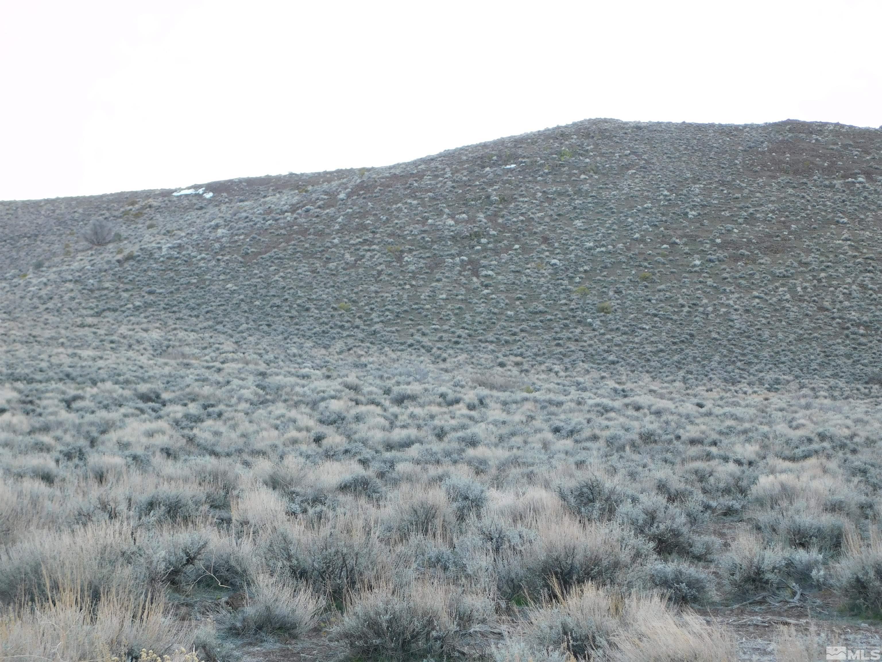 00610106 Schaad Property Photo 17