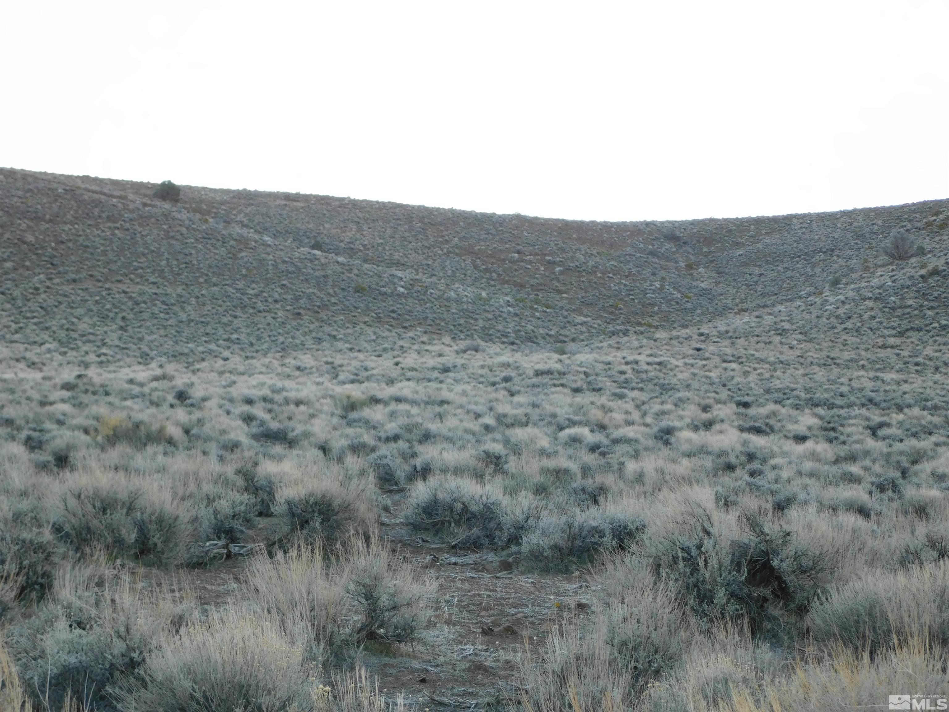 00610106 Schaad Property Photo 18