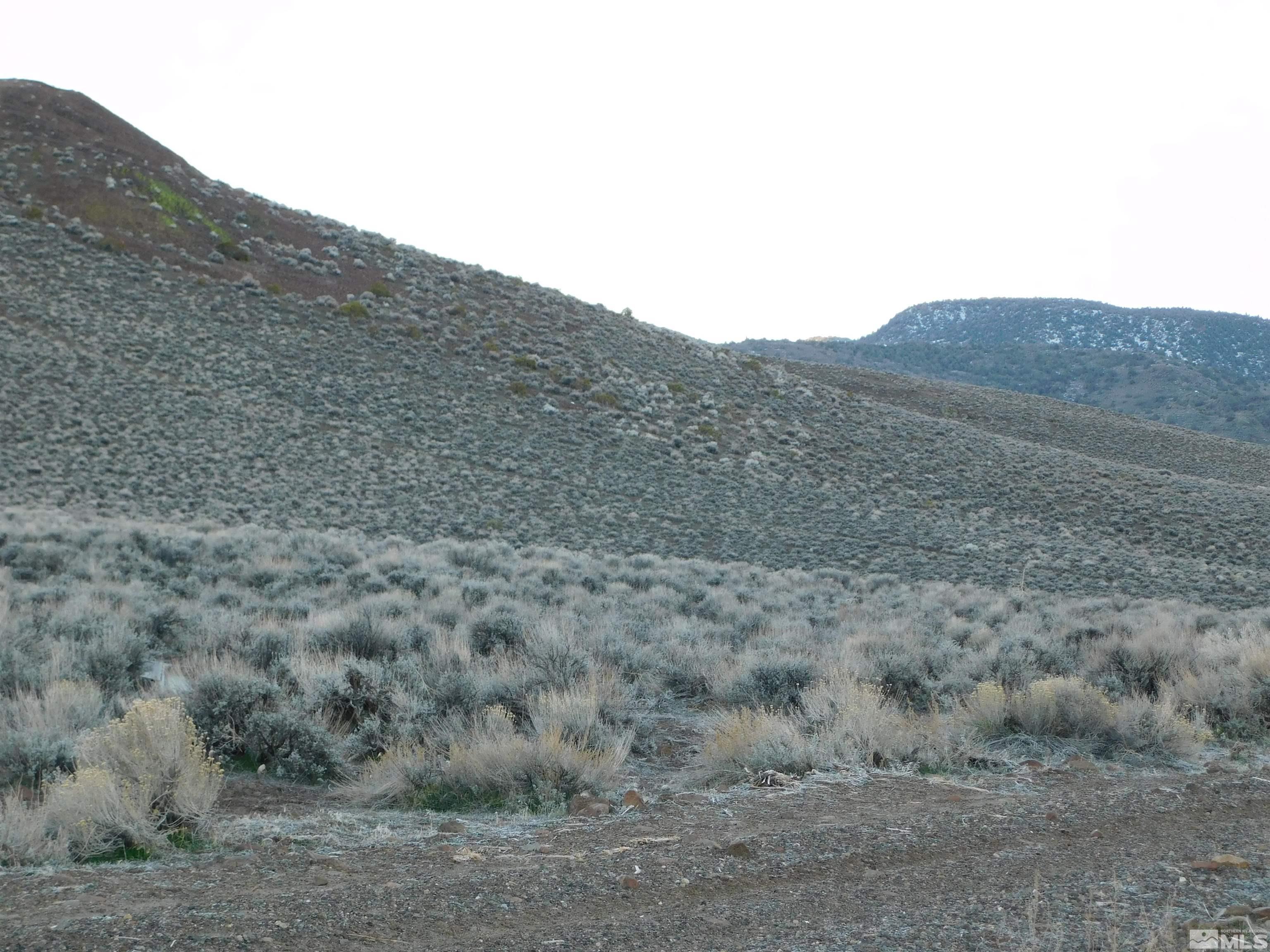 00610106 Schaad Property Photo 19