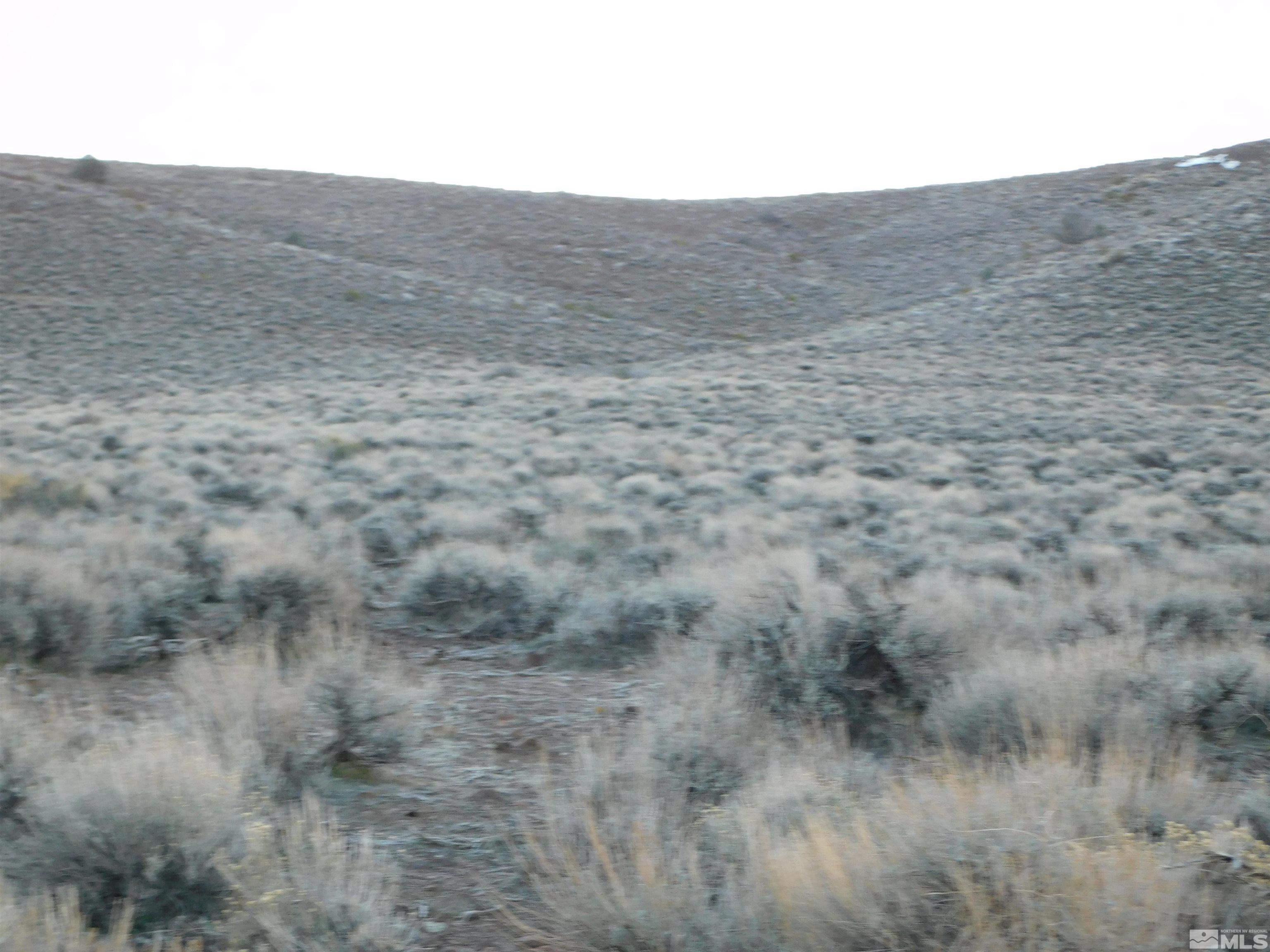 00610106 Schaad Property Photo 21