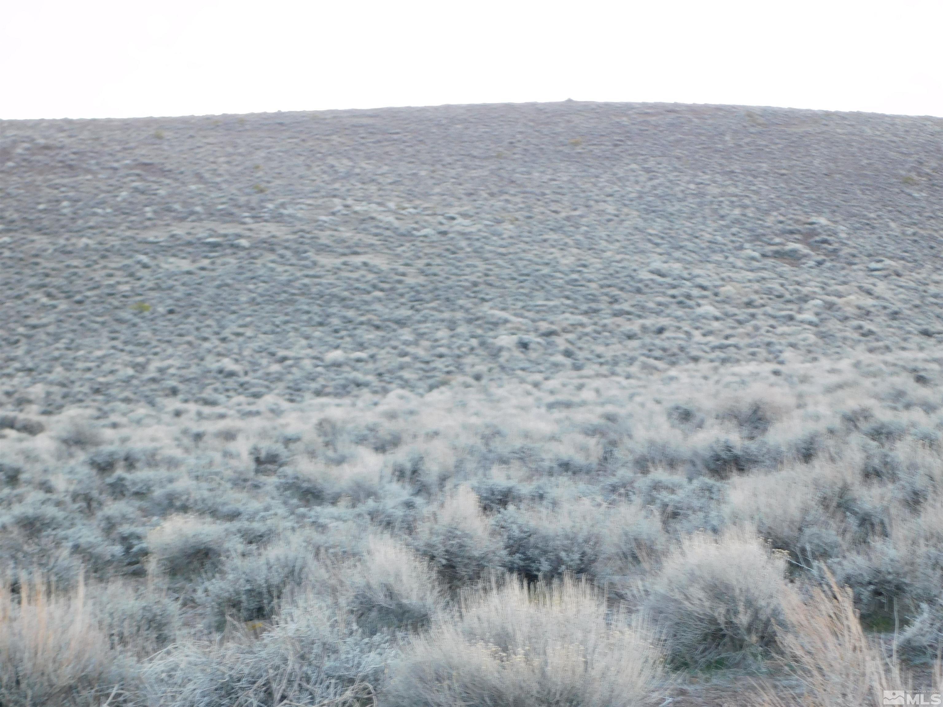 00610106 Schaad Property Photo 22