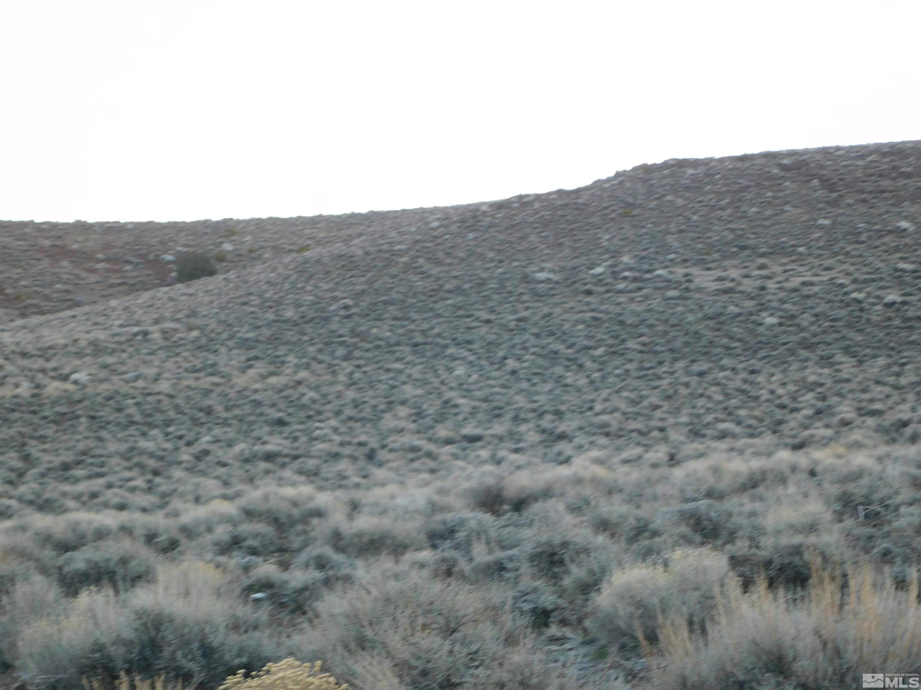 00610106 Schaad Property Photo 23