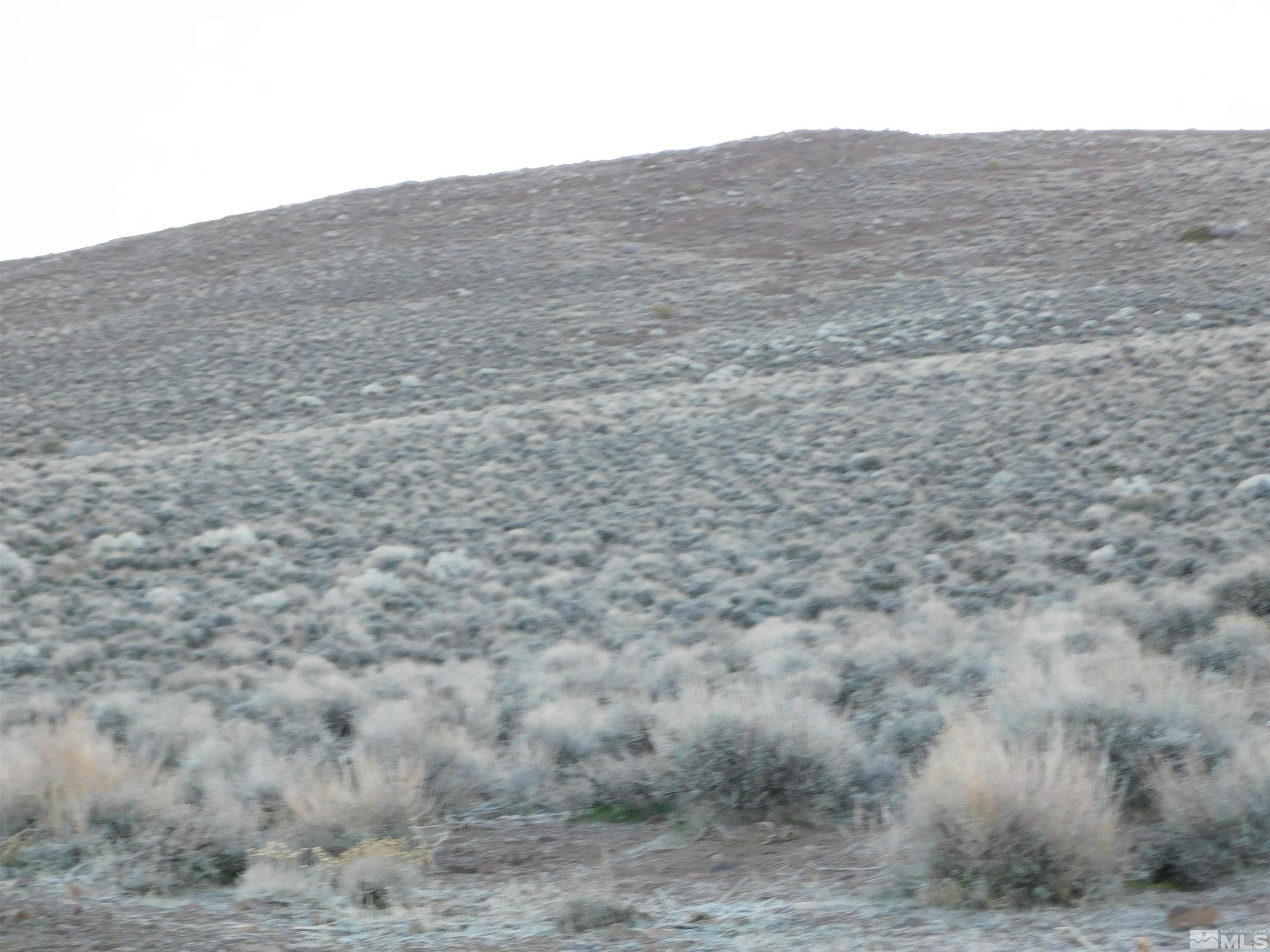 00610106 Schaad Property Photo 24
