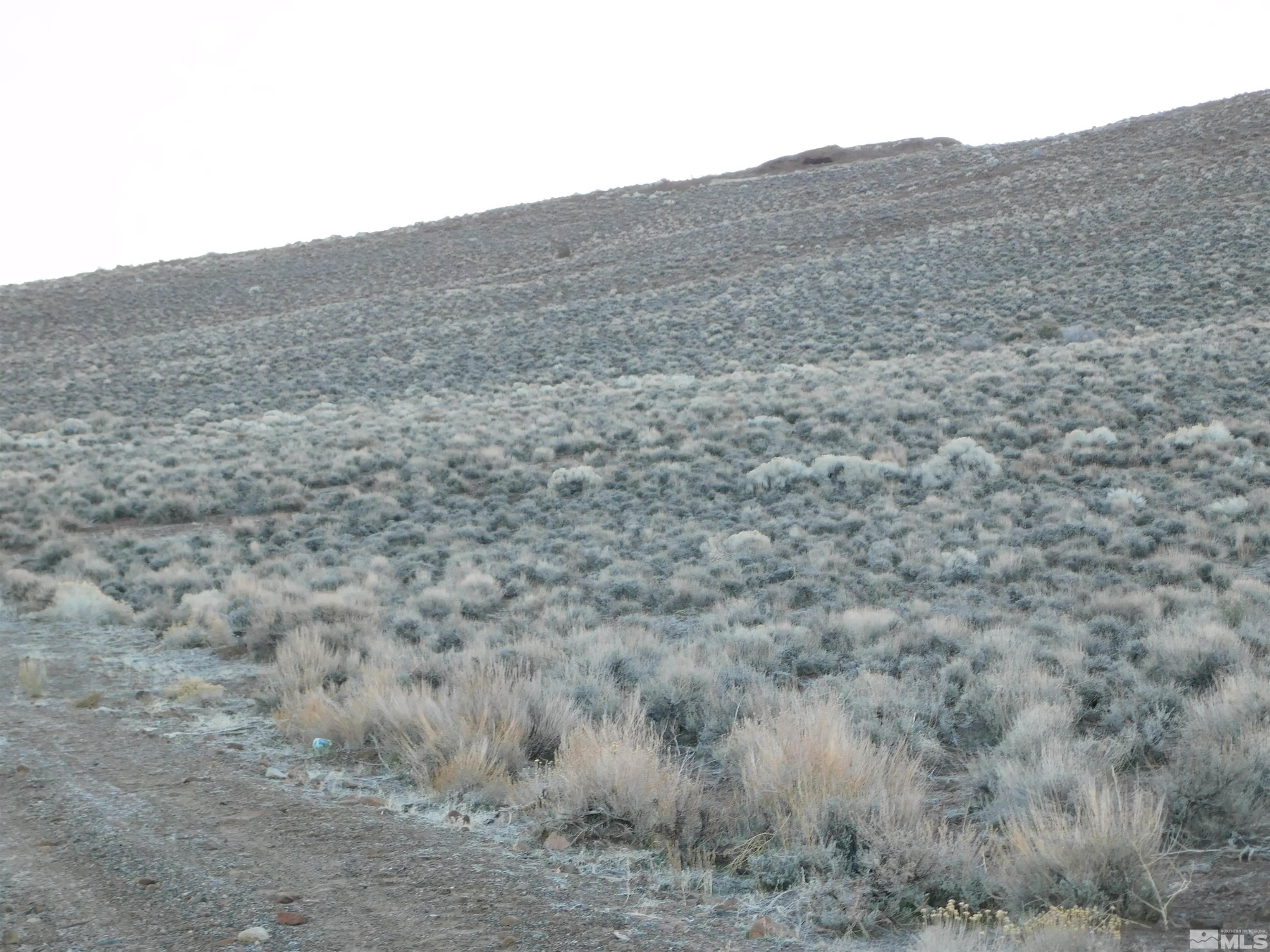 00610106 Schaad Property Photo 26
