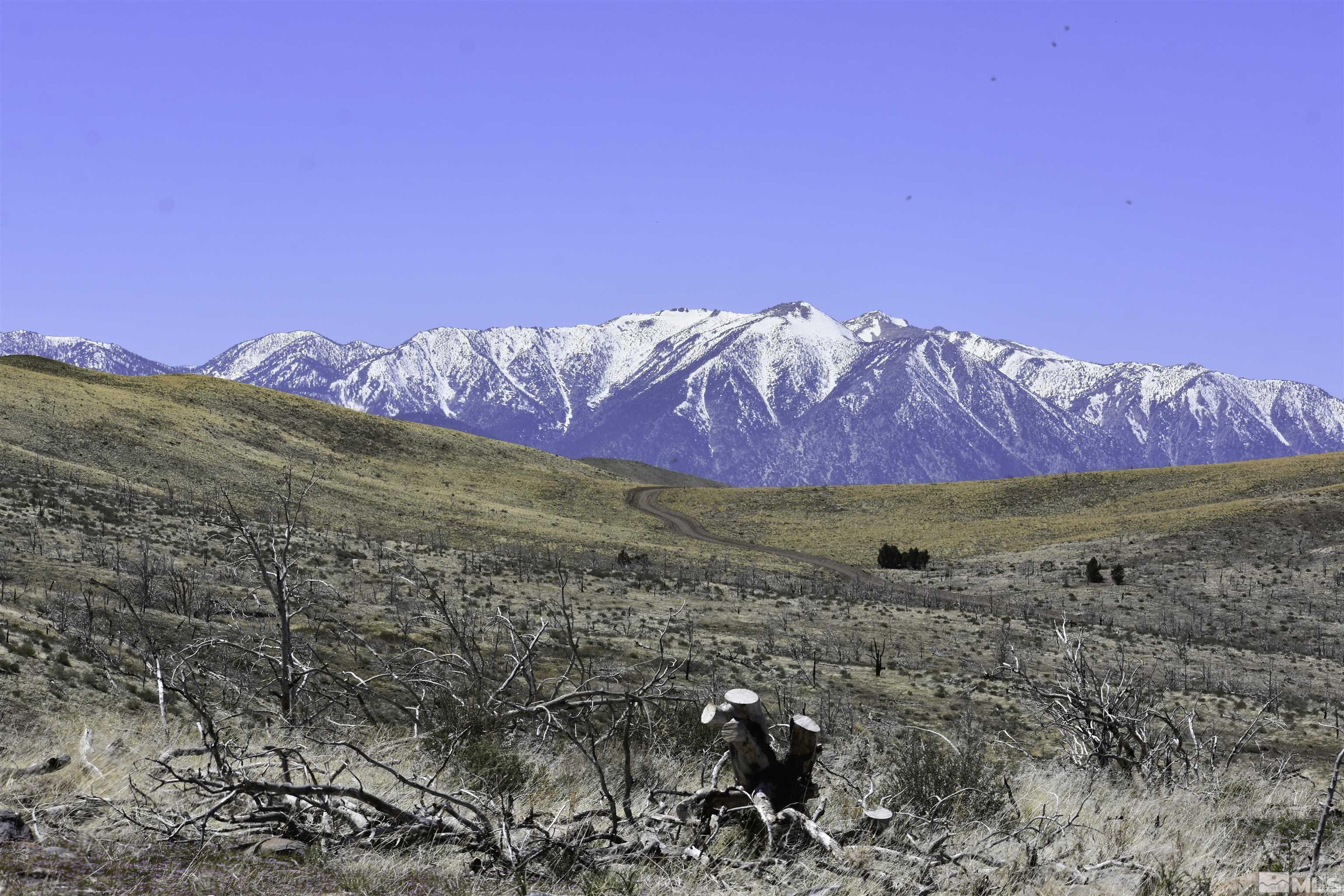 Tbd Parcels At Pine Nut Creek Area Property Photo 1