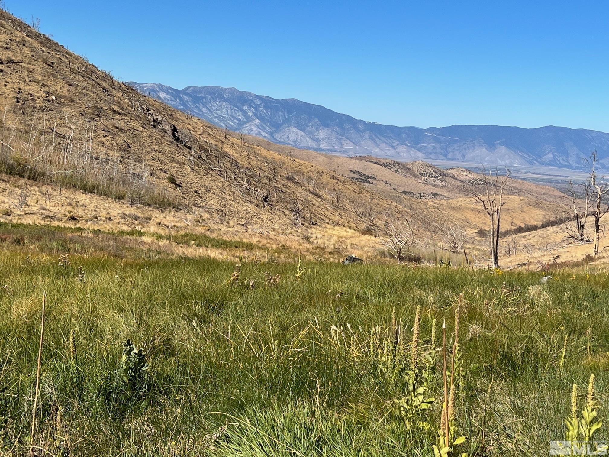 Tbd Parcels At Pine Nut Creek Area Property Photo 6