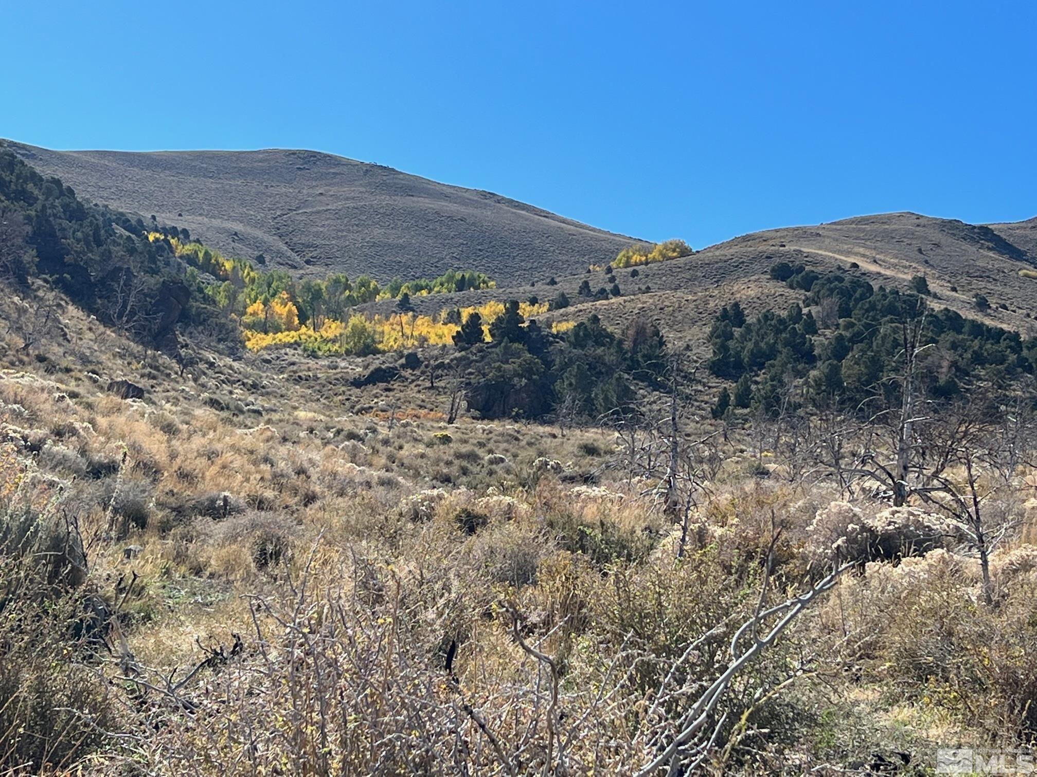 Tbd Parcels At Pine Nut Creek Area Property Photo 7