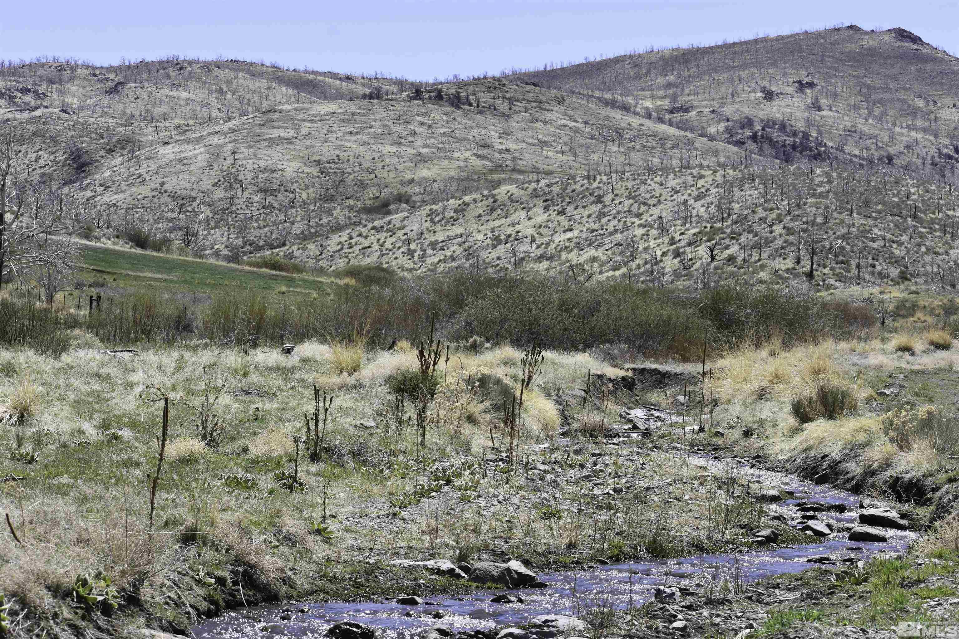 Tbd Parcels At Pine Nut Creek Area Property Photo 8