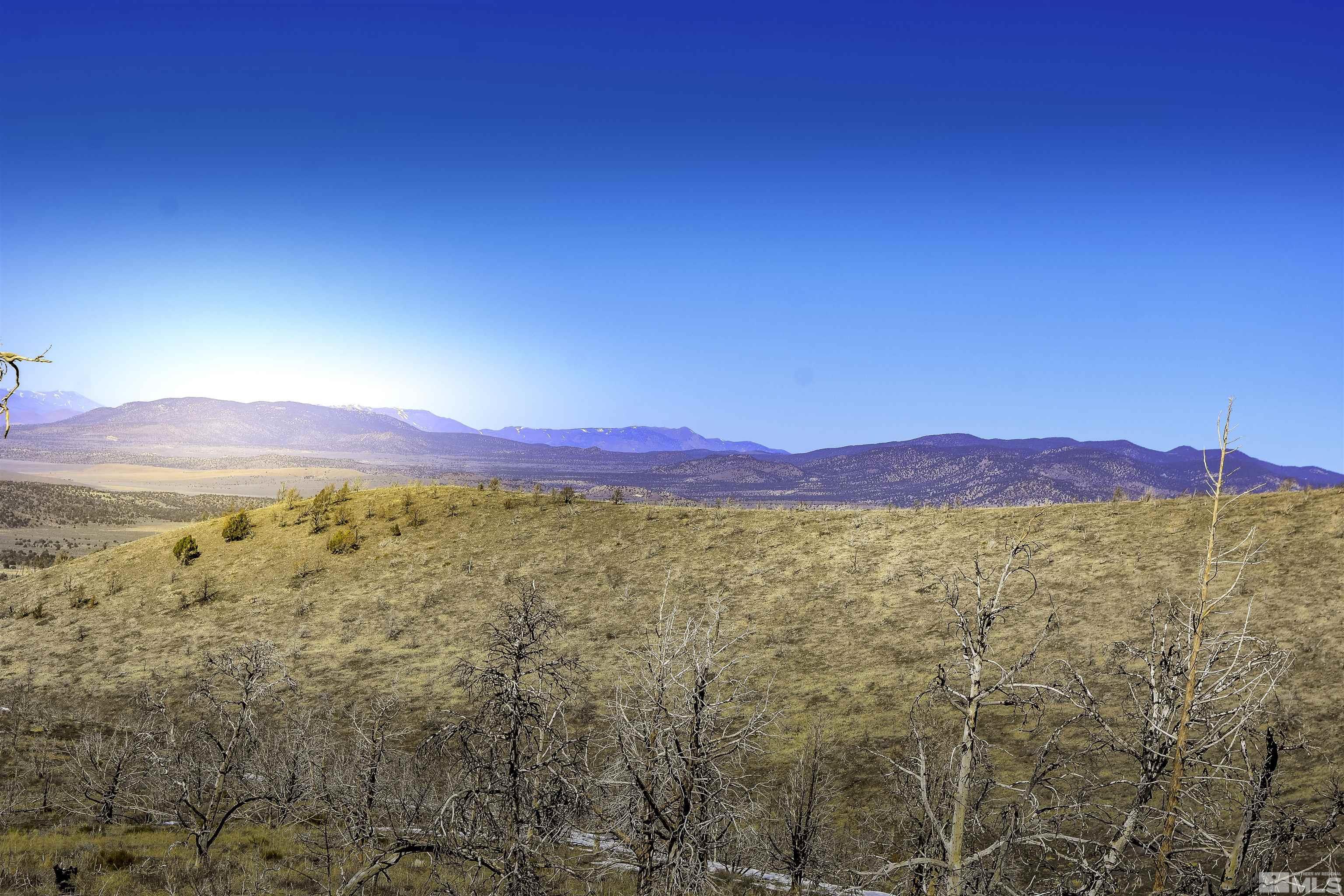 Tbd Parcels At Pine Nut Creek Area Property Photo 9