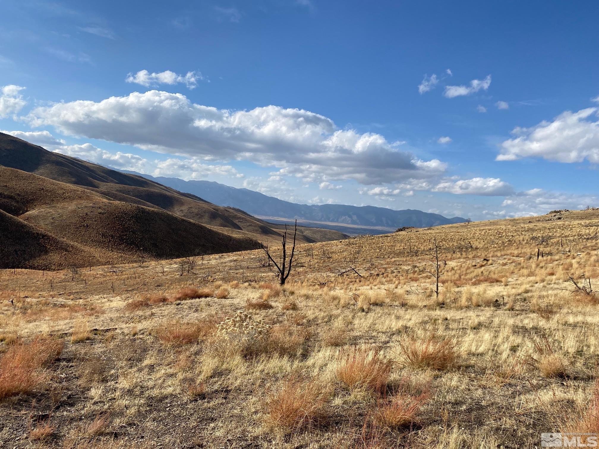 Tbd Parcels At Pine Nut Creek Area Property Photo 10