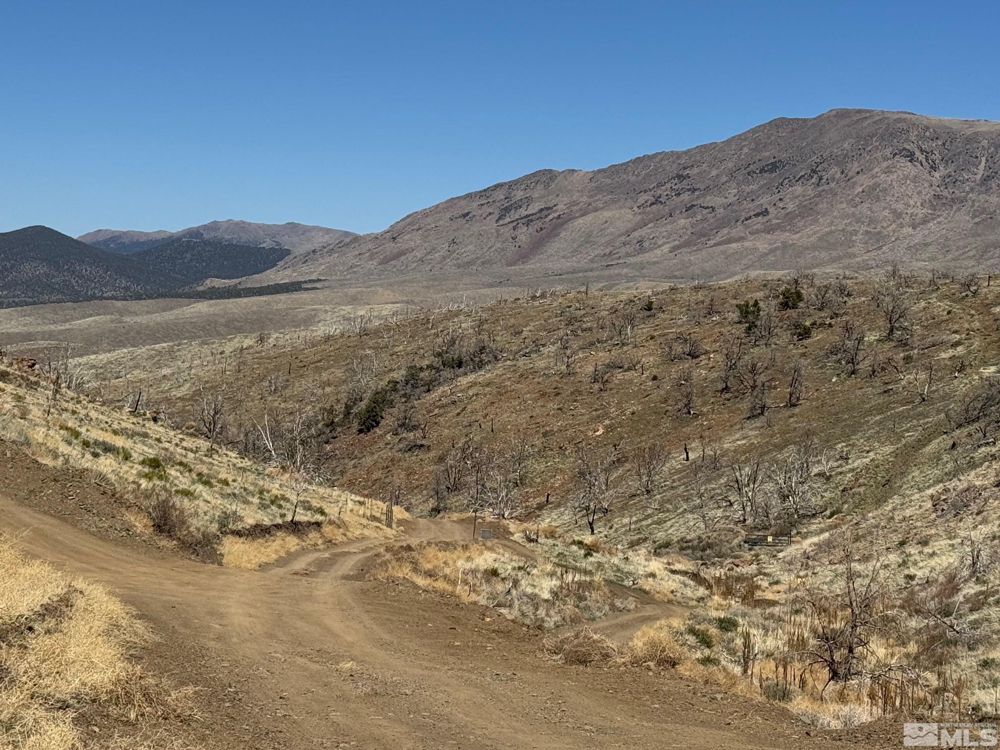 Tbd Parcels At Pine Nut Creek Area Property Photo 11