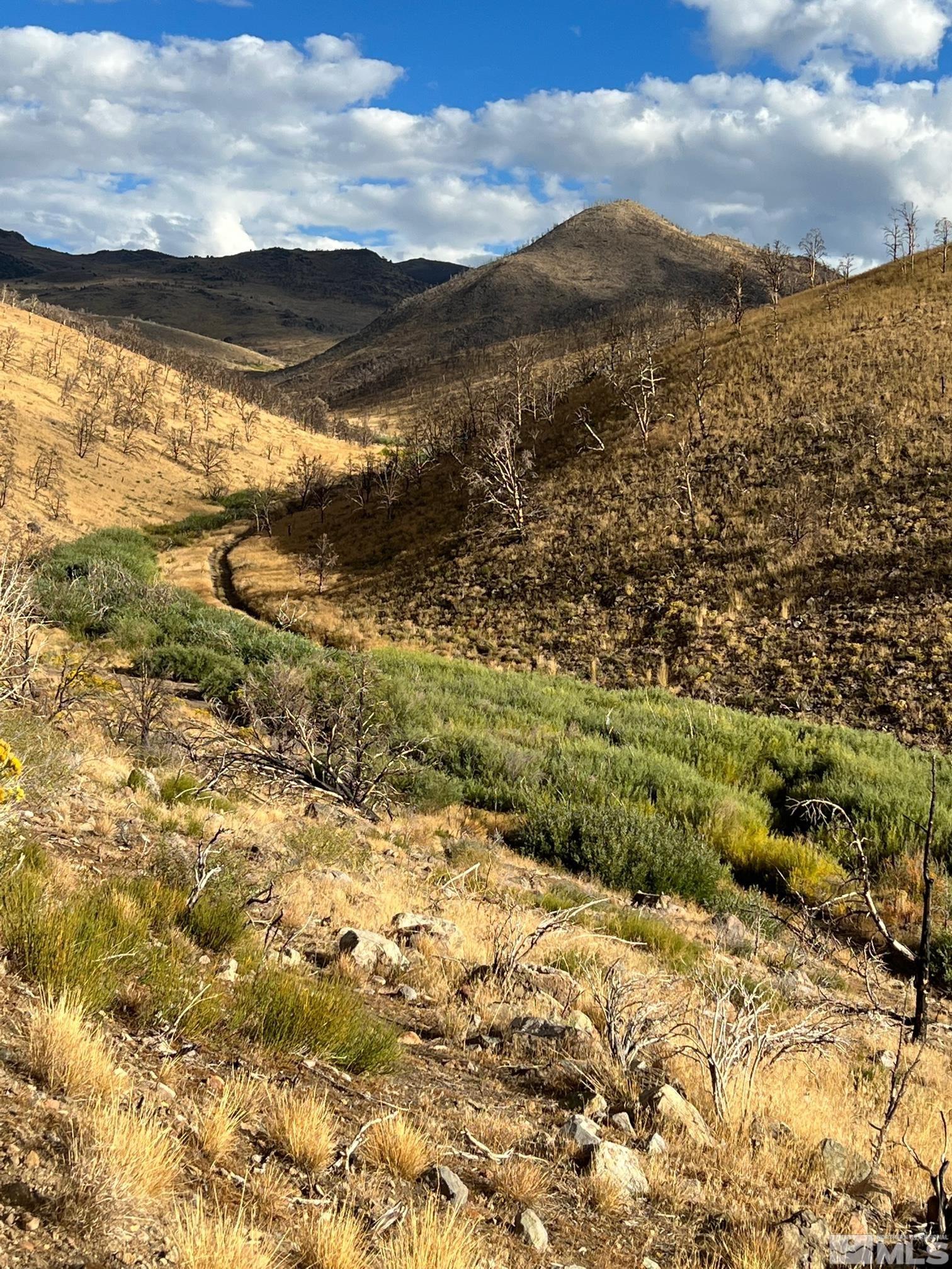 Tbd Parcels At Pine Nut Creek Area Property Photo 13