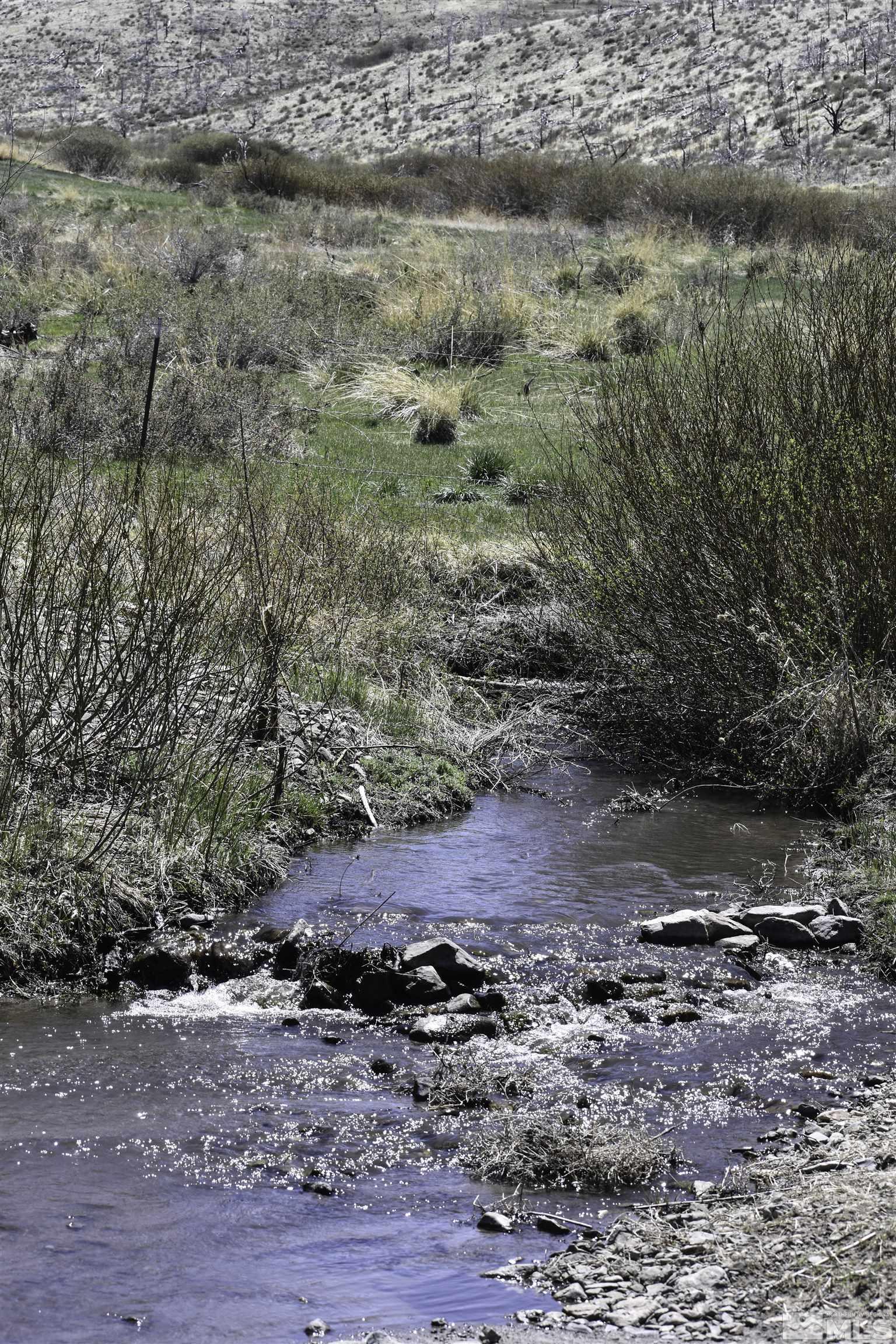 Tbd Parcels At Pine Nut Creek Area Property Photo 14