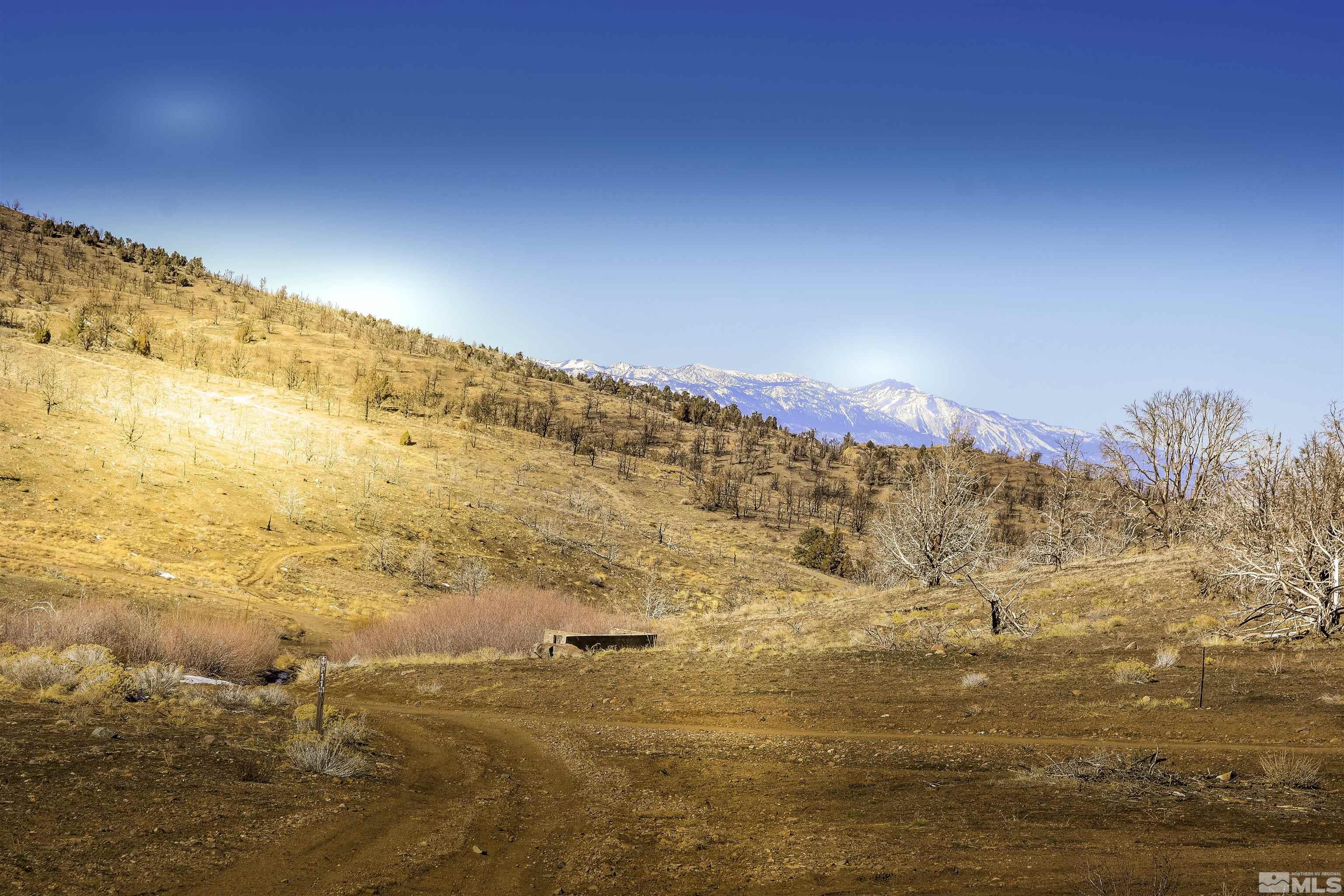 Tbd Parcels At Pine Nut Creek Area Property Photo 19