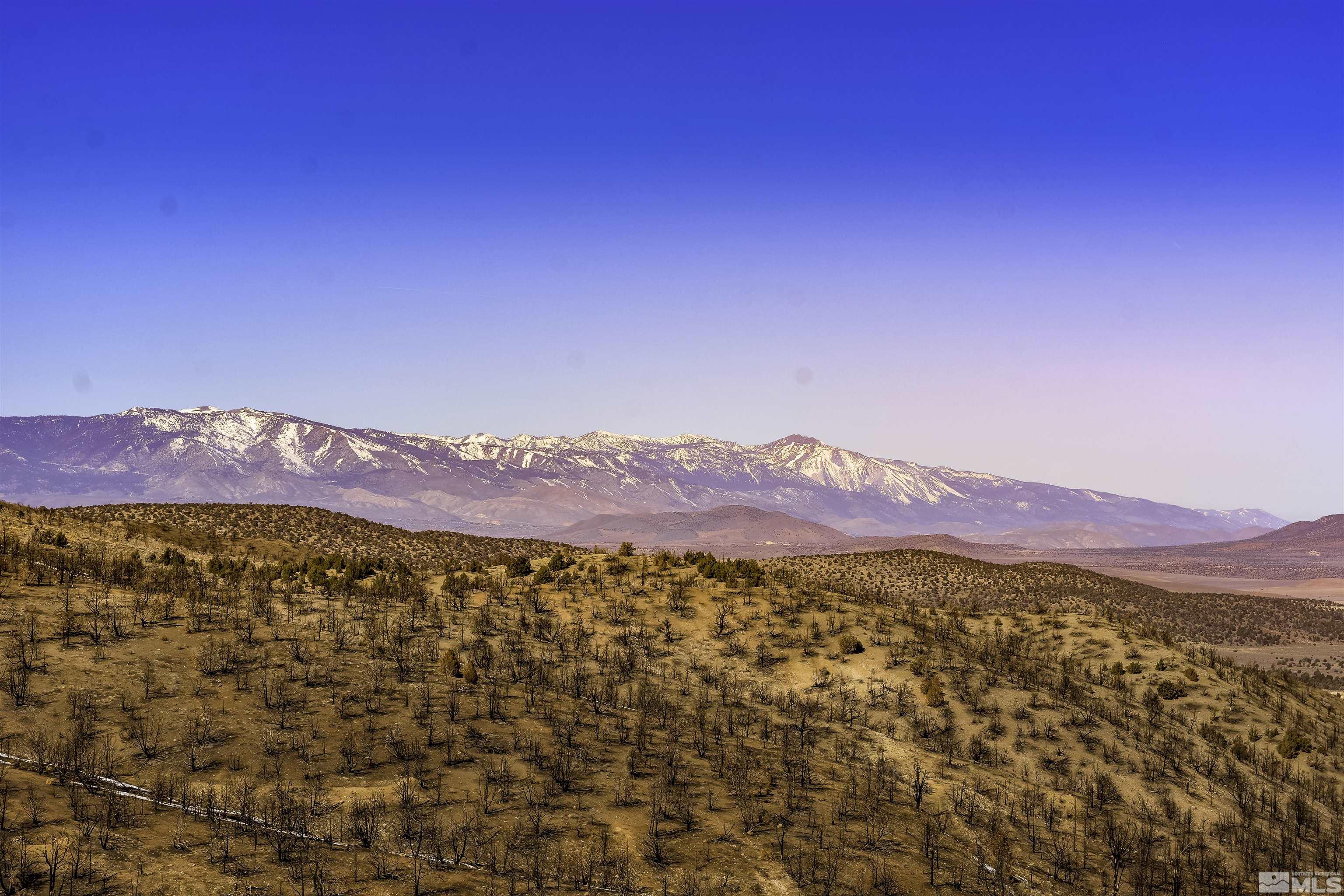 Tbd Parcels At Pine Nut Creek Area Property Photo 21