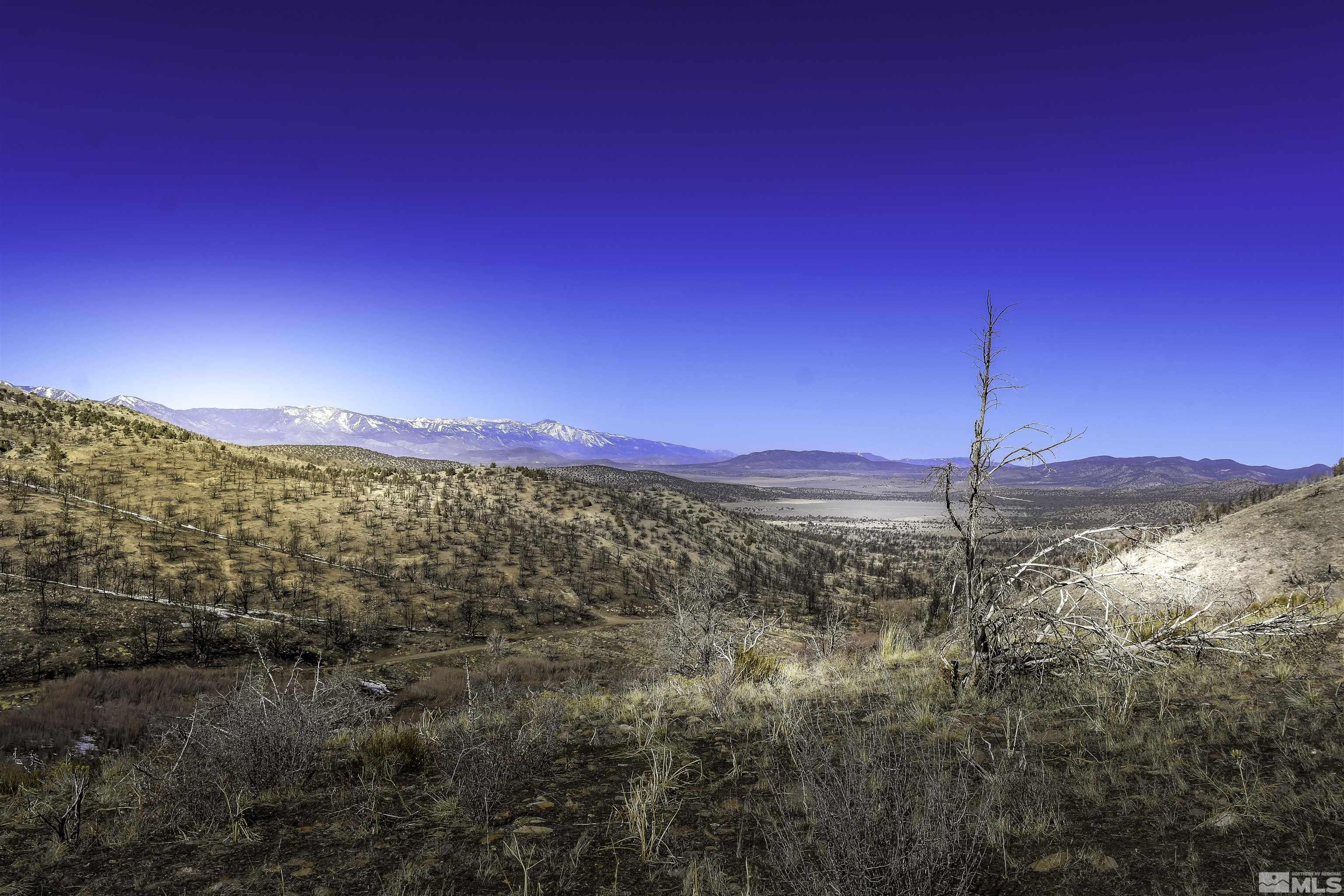 Tbd Parcels At Pine Nut Creek Area Property Photo 22