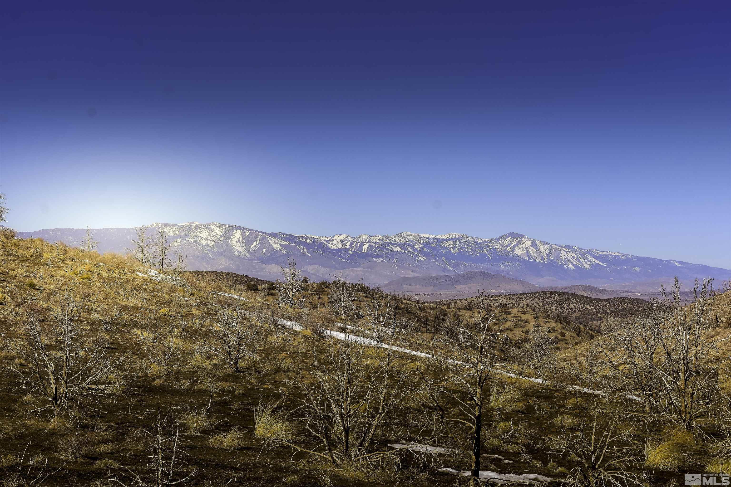Tbd Parcels At Pine Nut Creek Area Property Photo 23