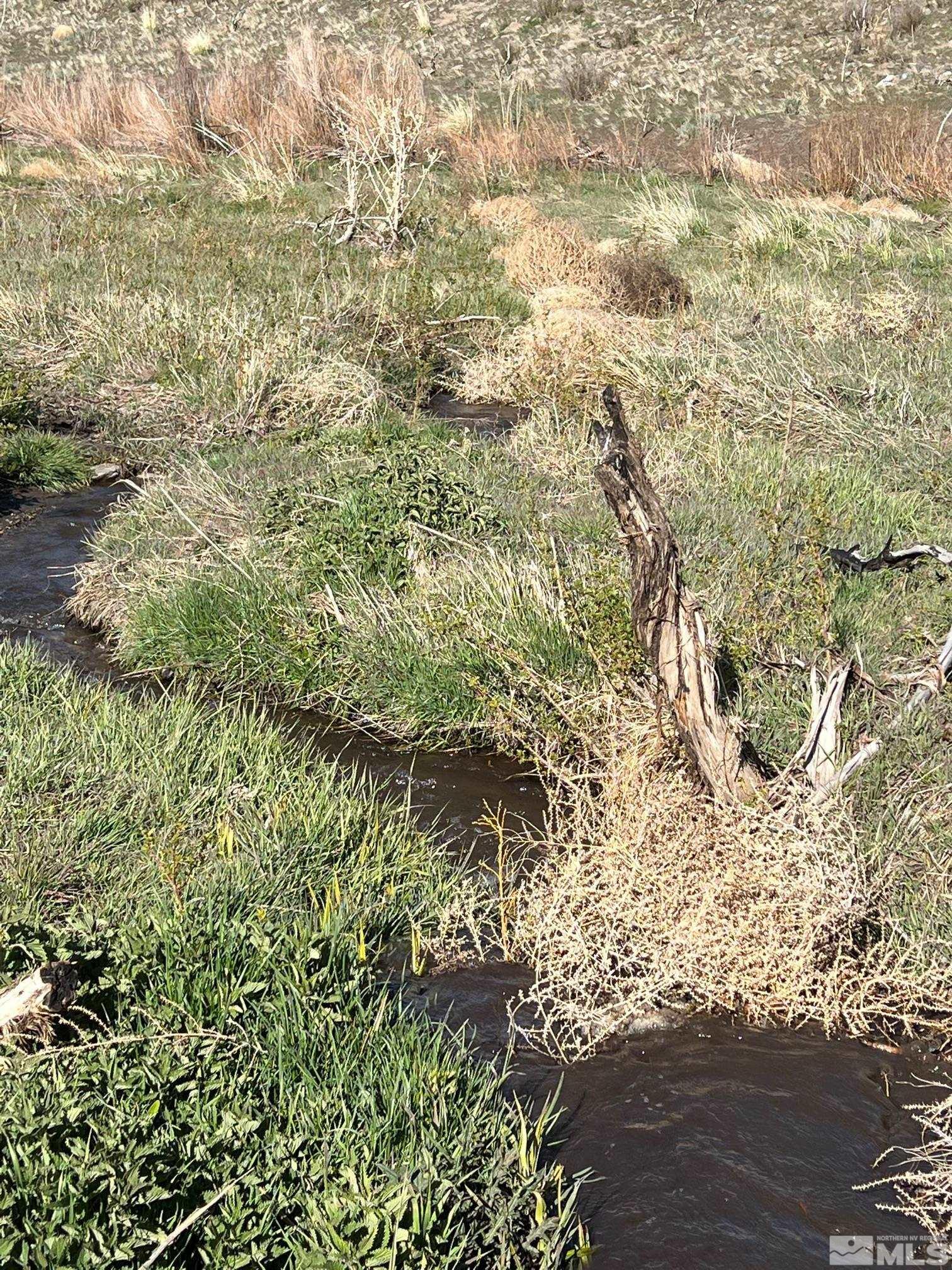 Tbd Parcels At Pine Nut Creek Area Property Photo 25