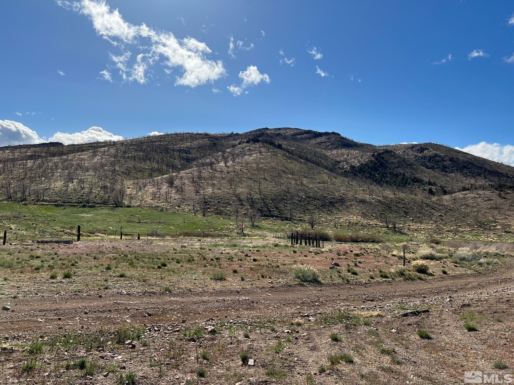Tbd Parcels At Pine Nut Creek Area Property Photo 26