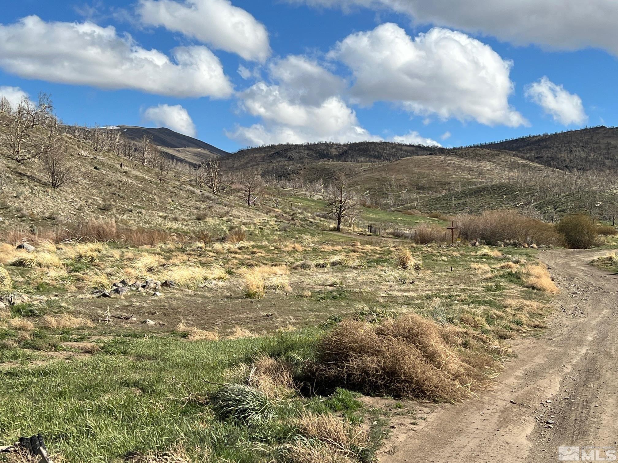 Tbd Parcels At Pine Nut Creek Area Property Photo 27