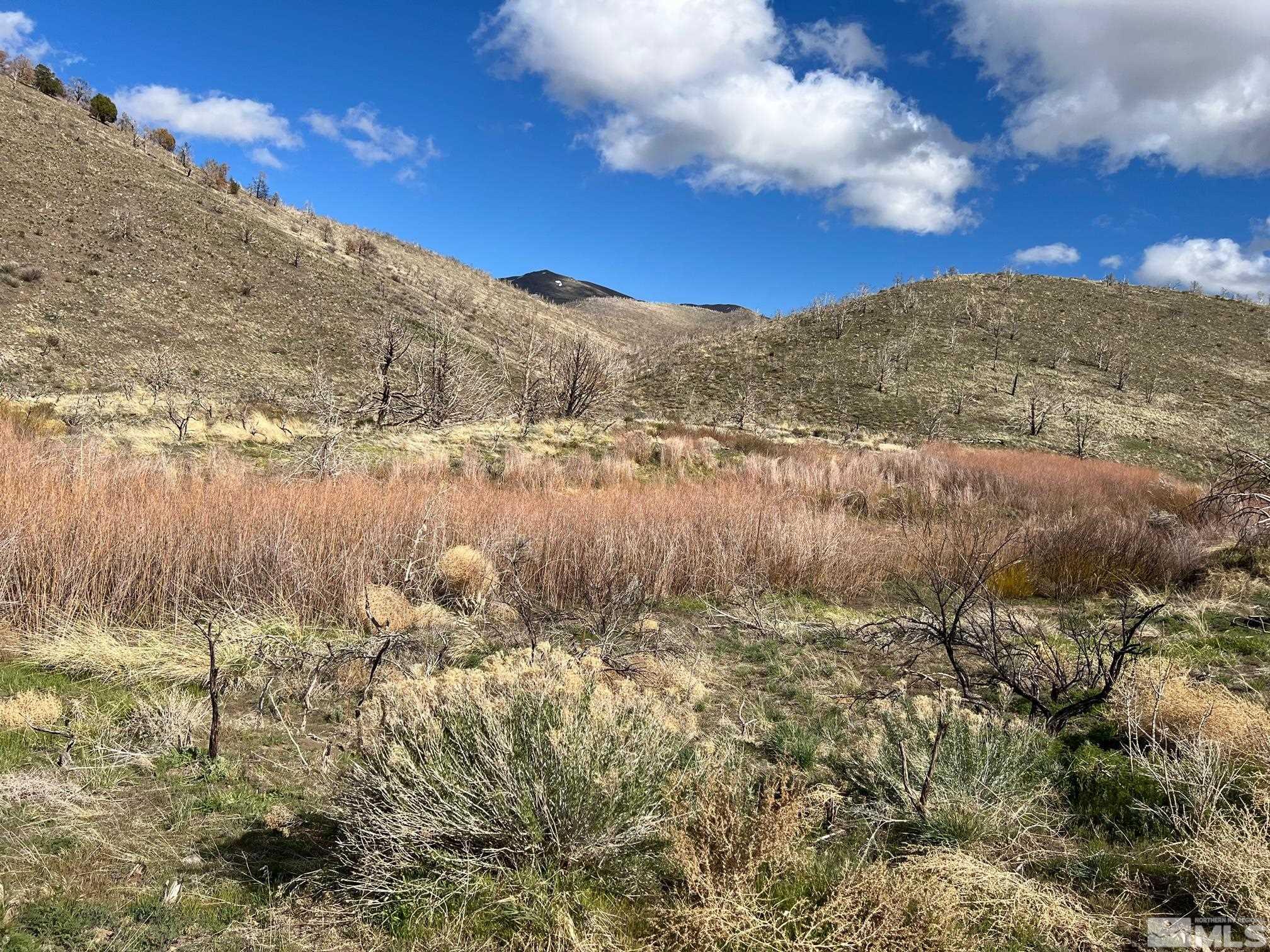 Tbd Parcels At Pine Nut Creek Area Property Photo 29