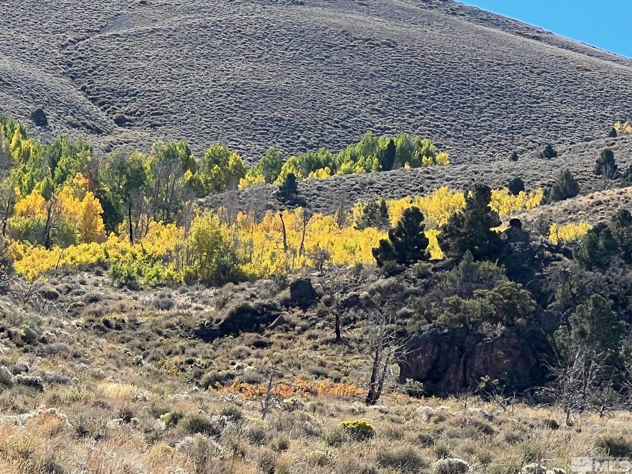 Tbd Parcels At Pine Nut Creek Area Property Photo 33
