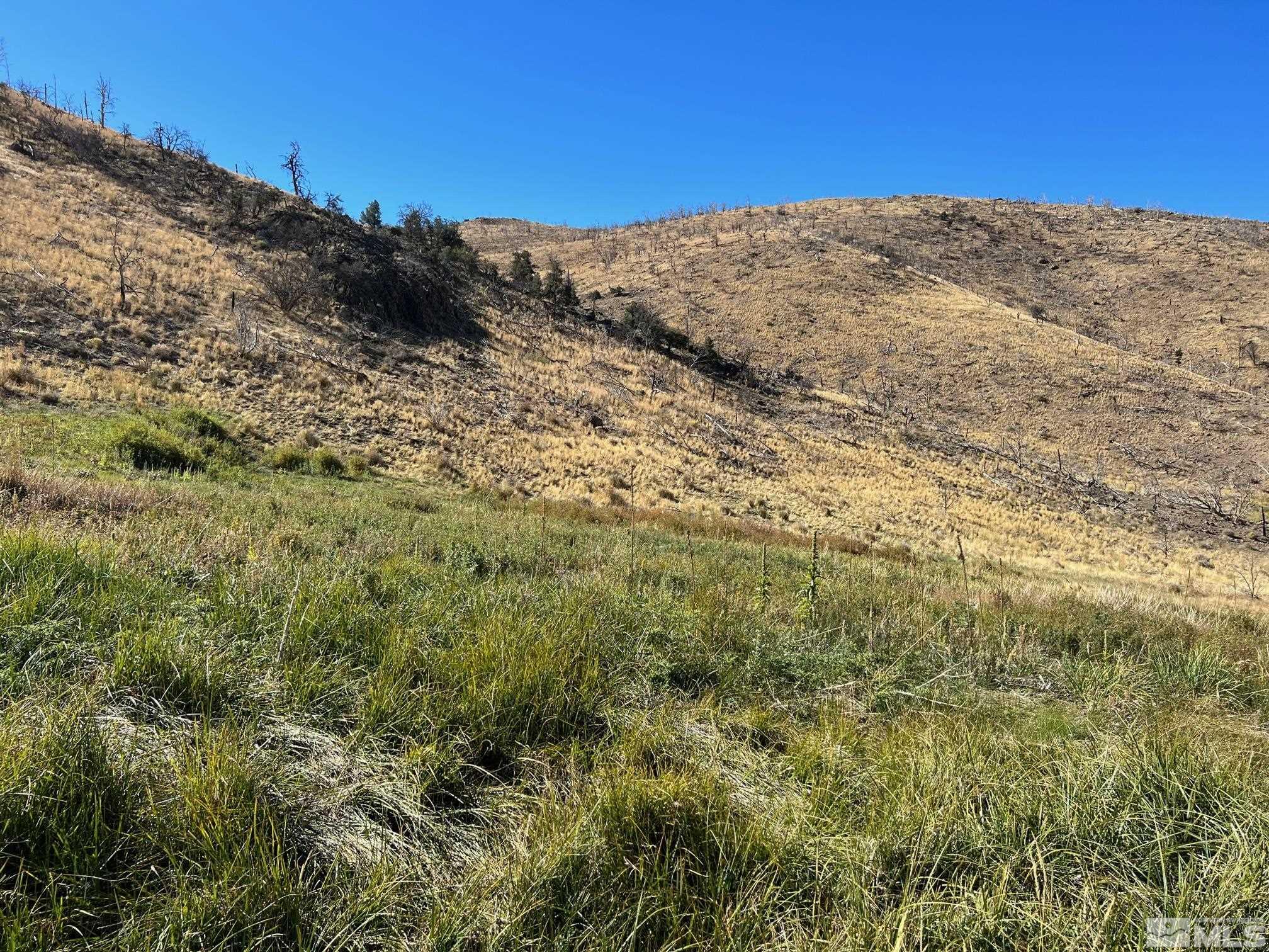 Tbd Parcels At Pine Nut Creek Area Property Photo 35