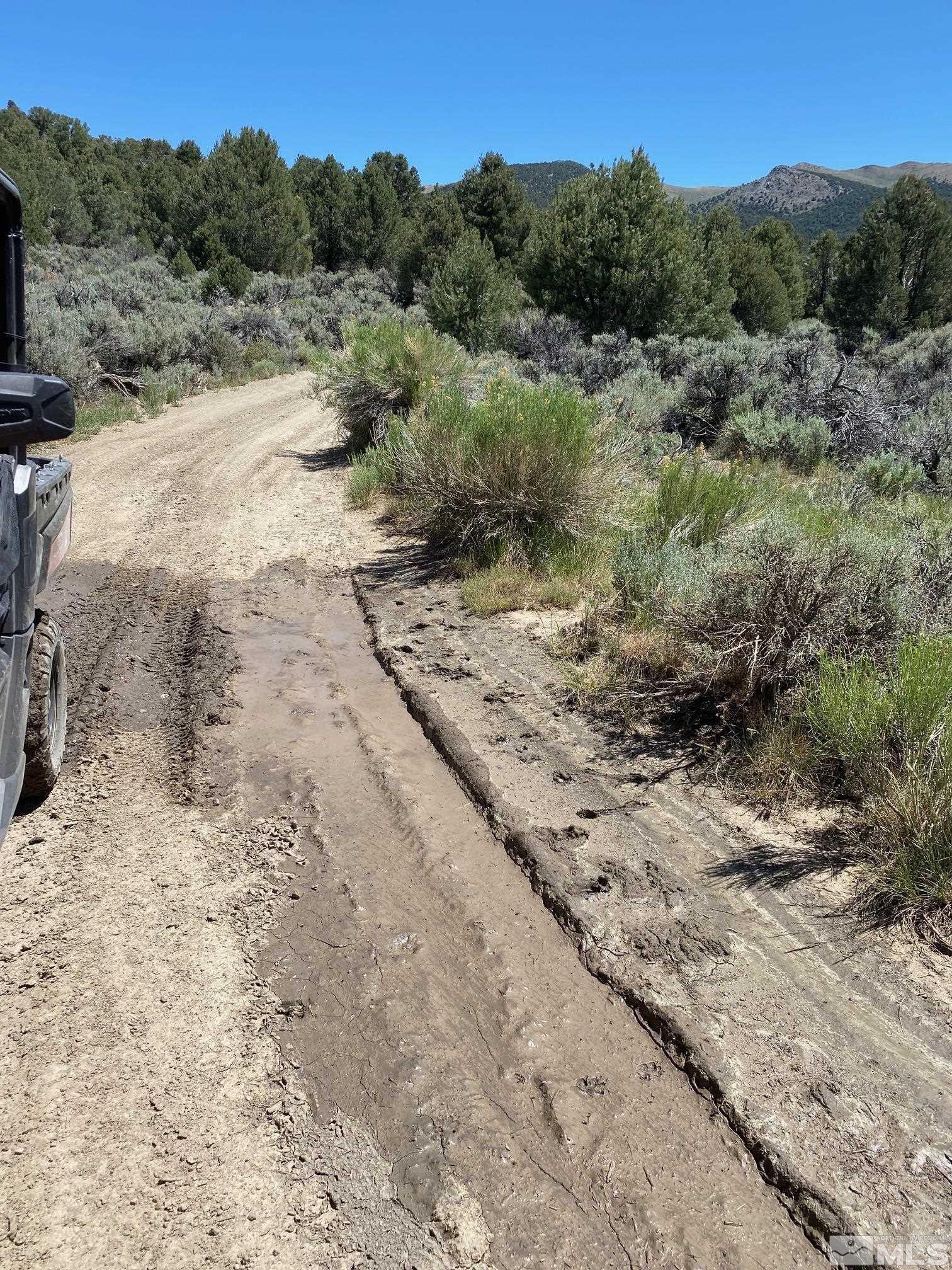 Tbd El Dorado Canyon Property Photo 7