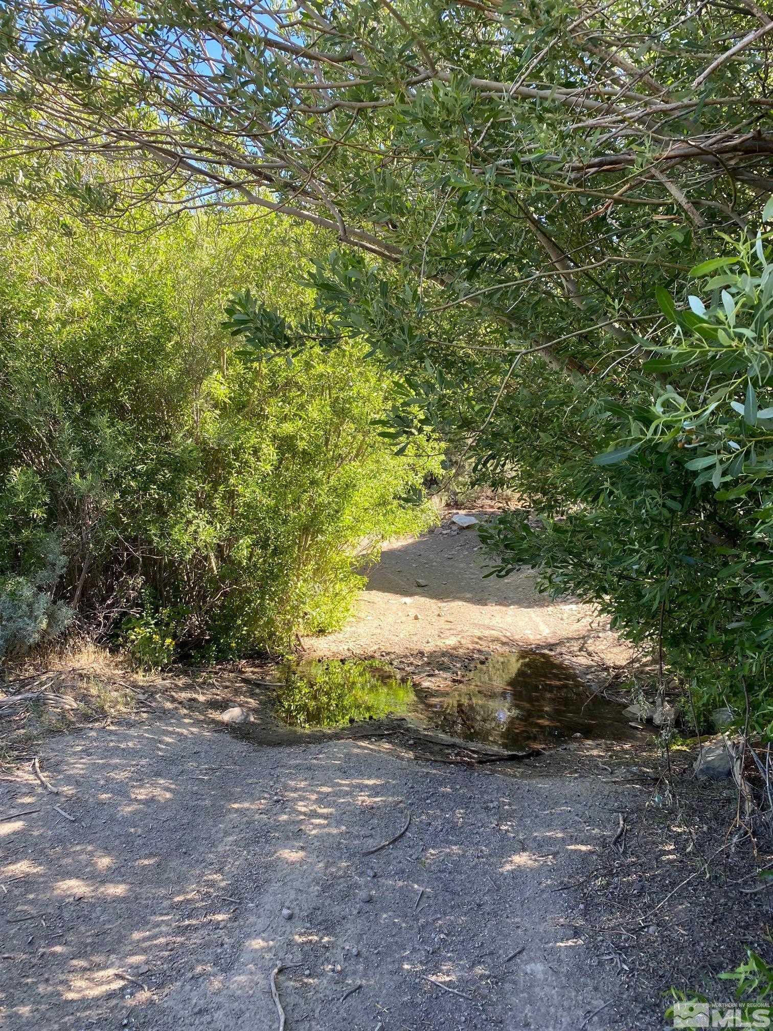 Tbd El Dorado Canyon Property Photo 3