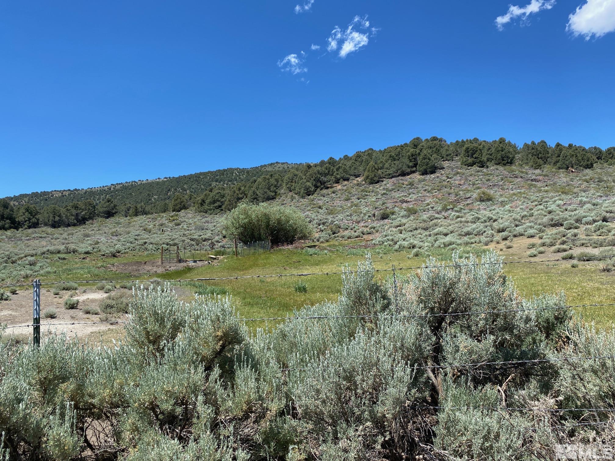 Tbd El Dorado Canyon Property Photo 4