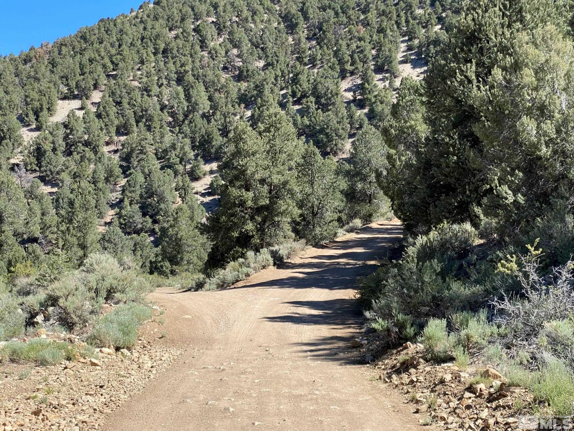 Tbd El Dorado Canyon Property Photo 5