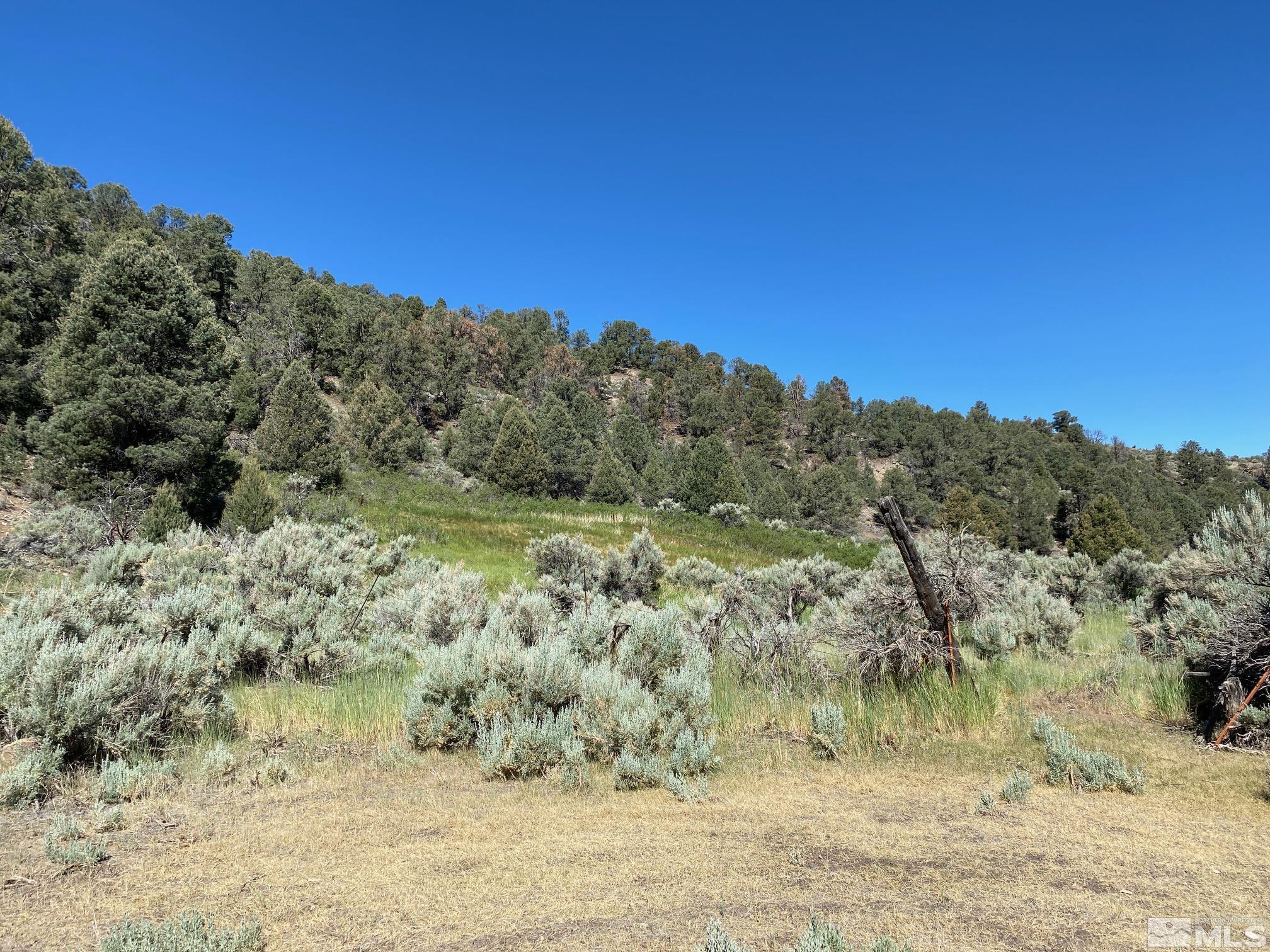 Tbd El Dorado Canyon Property Photo 6
