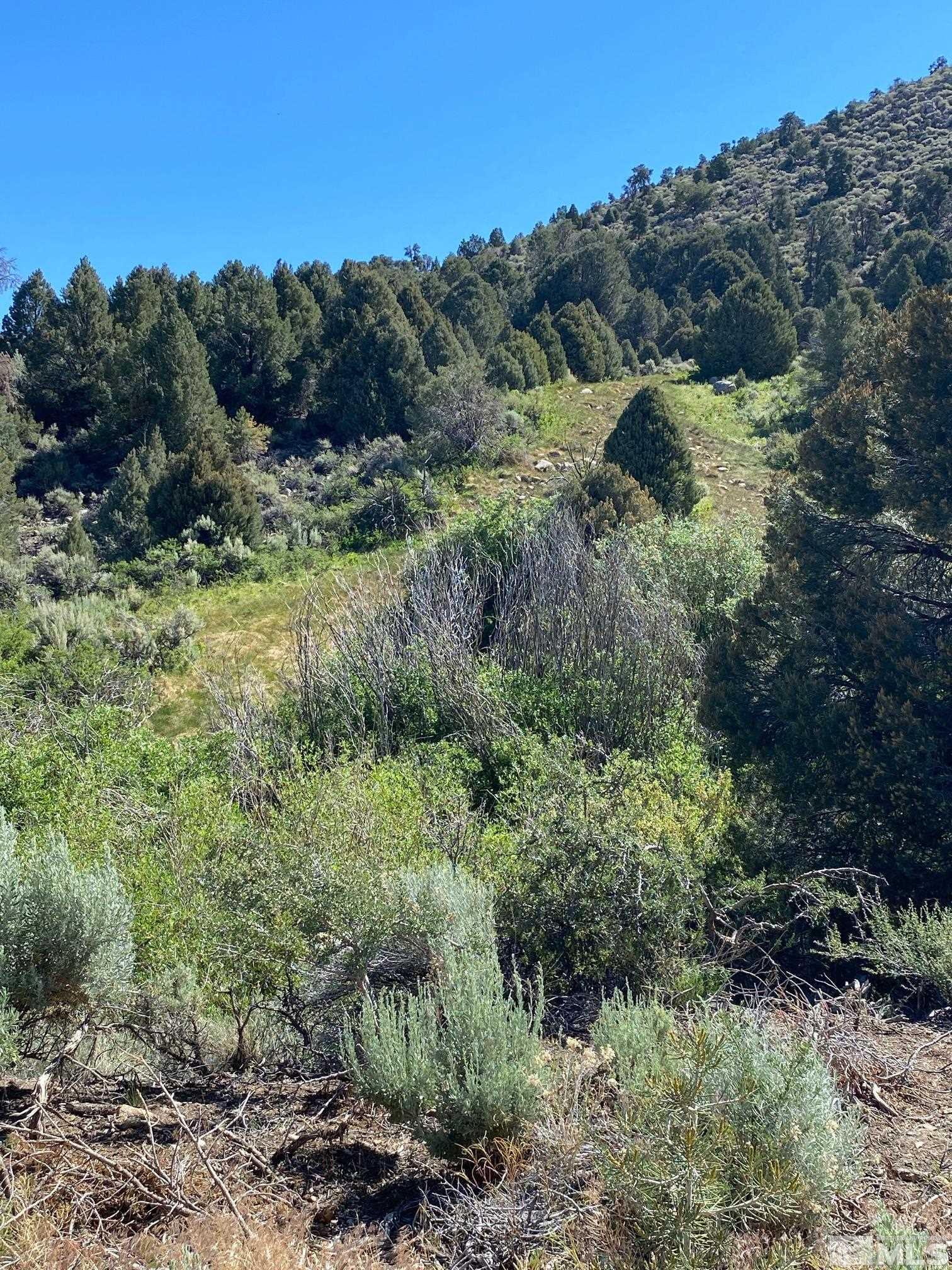 Tbd El Dorado Canyon Property Photo 10