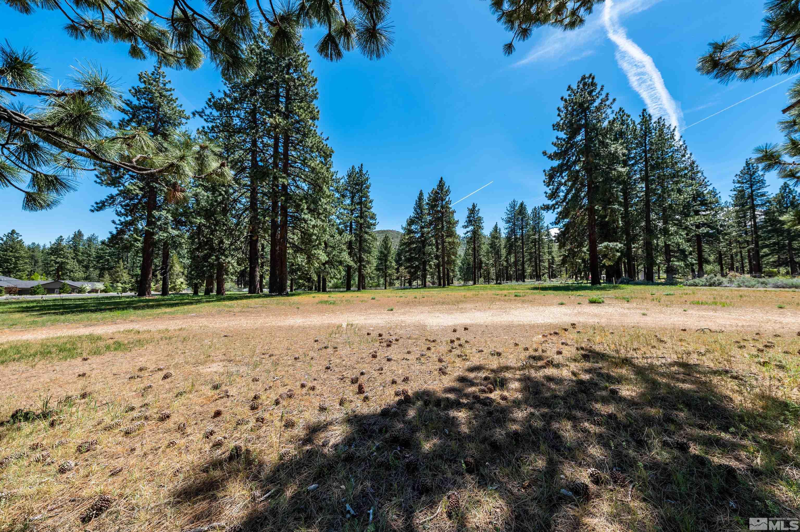 1 Pine Mesa Court Property Photo 6