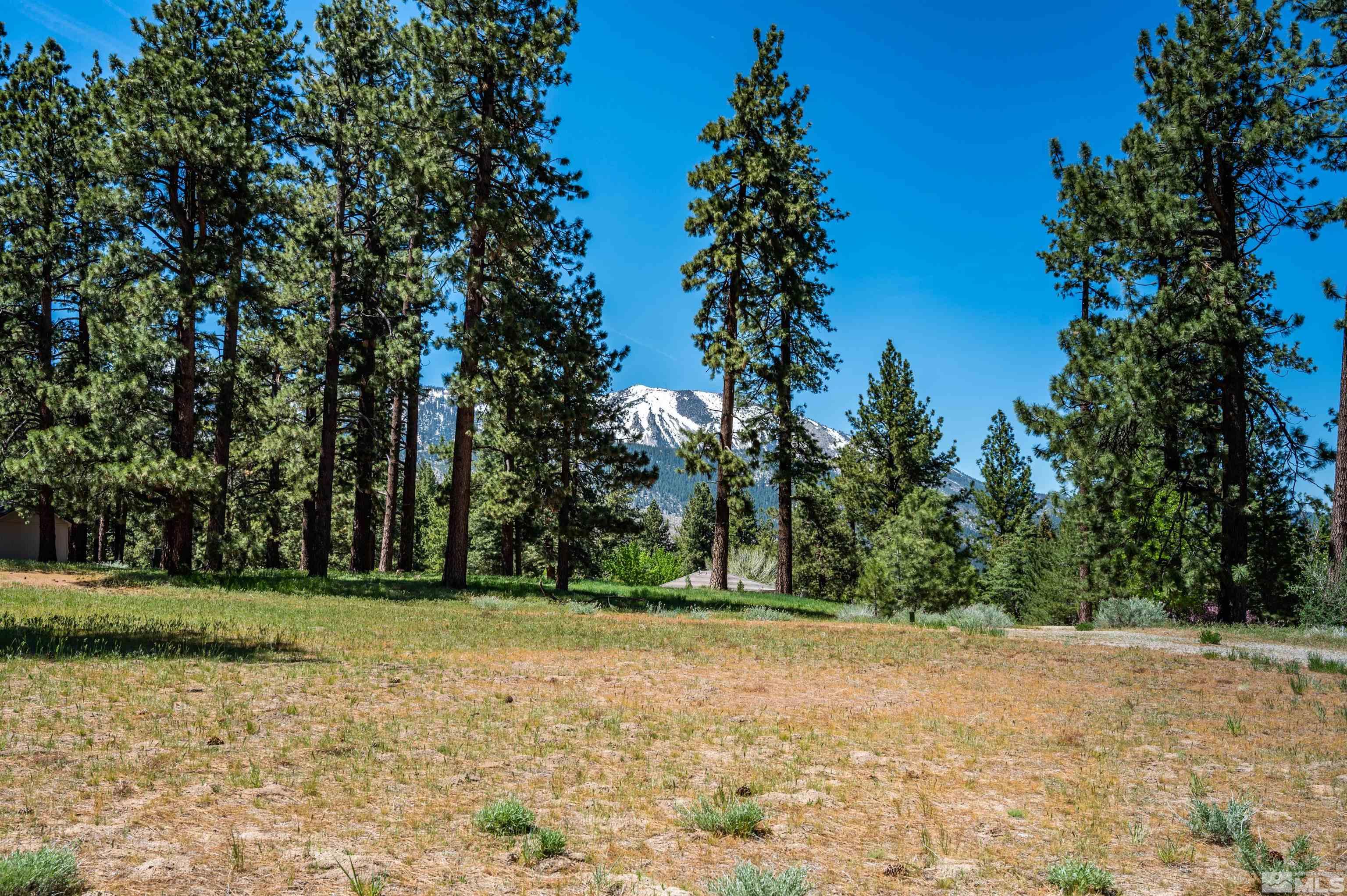 1 Pine Mesa Court Property Photo 7