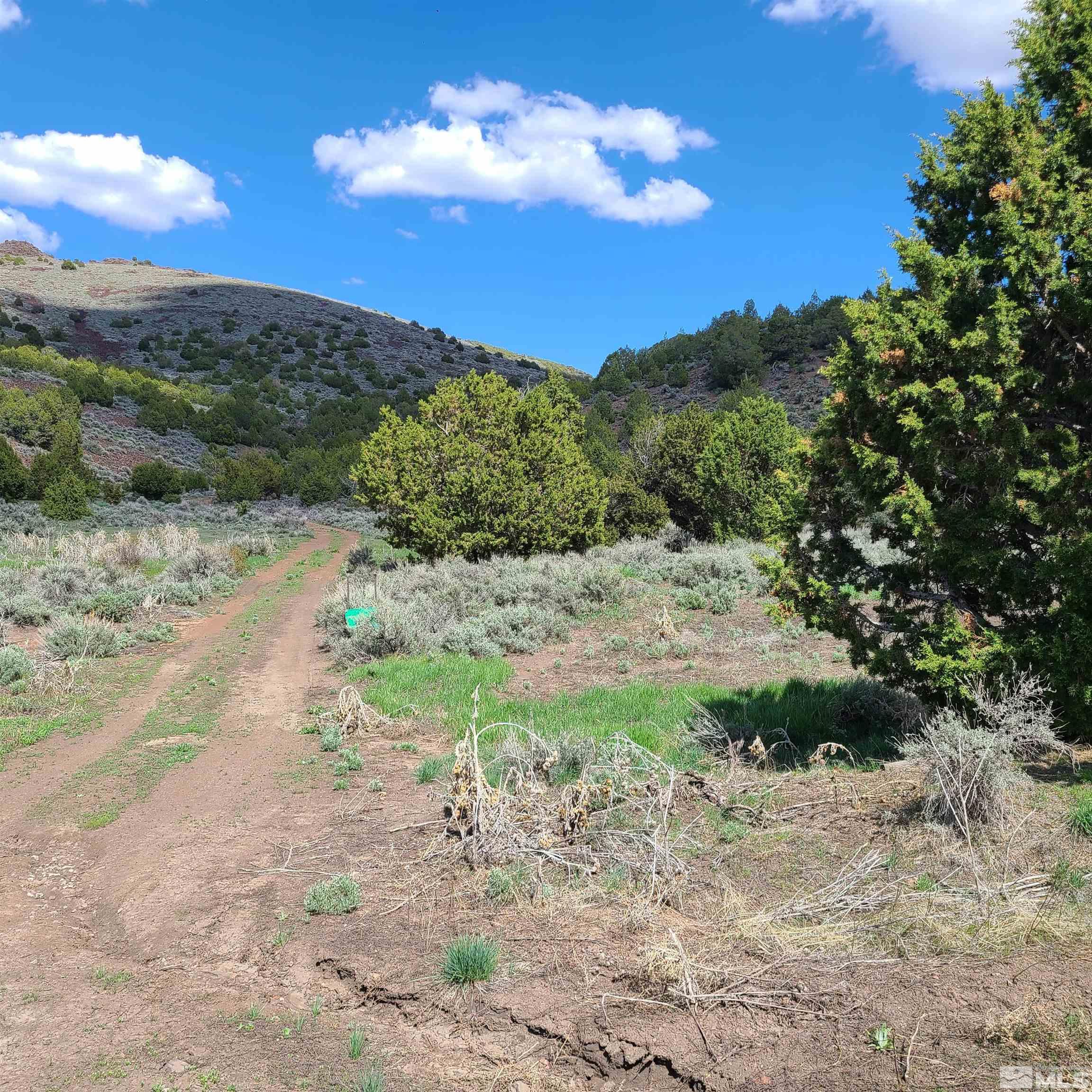0 Left Hand Canyon Road Property Photo 4