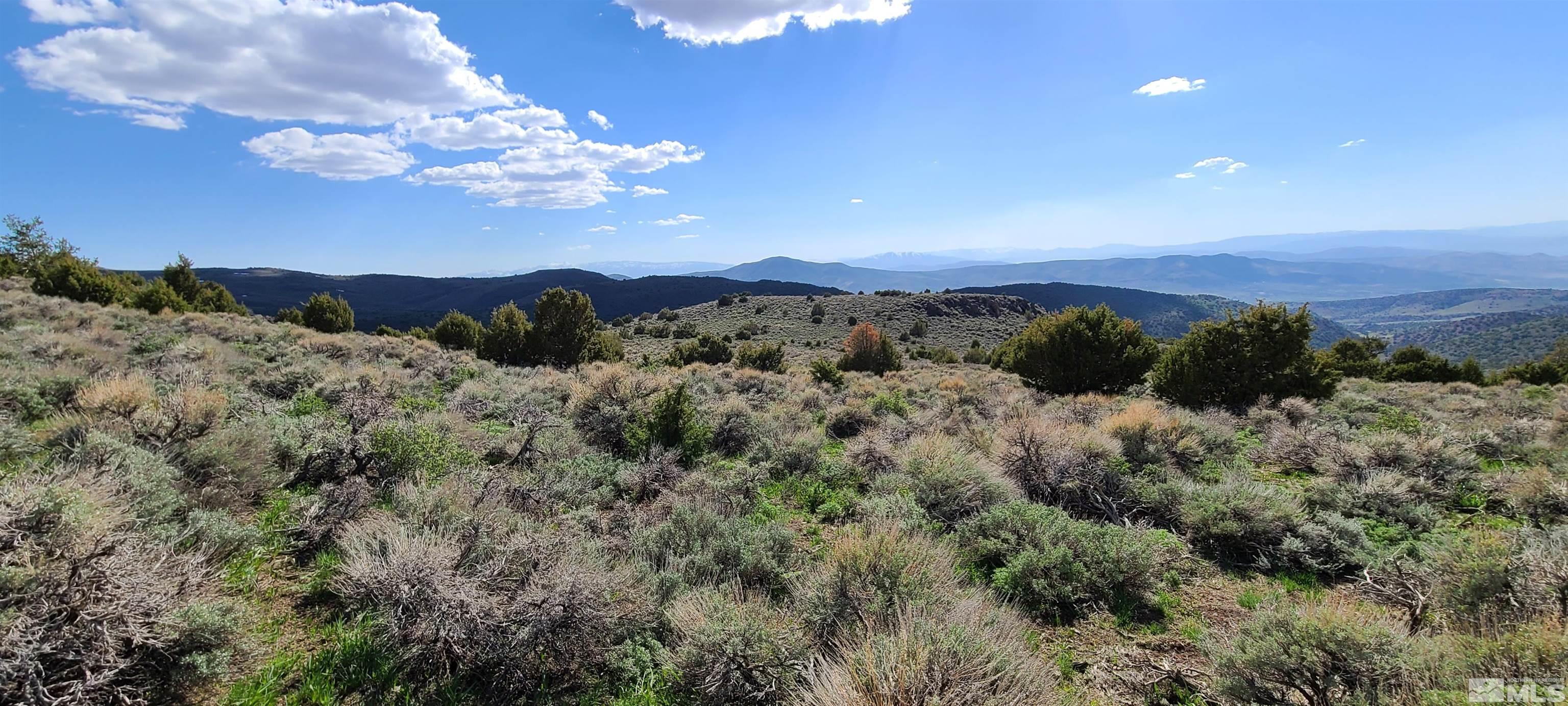 0 Left Hand Canyon Road Property Photo 8