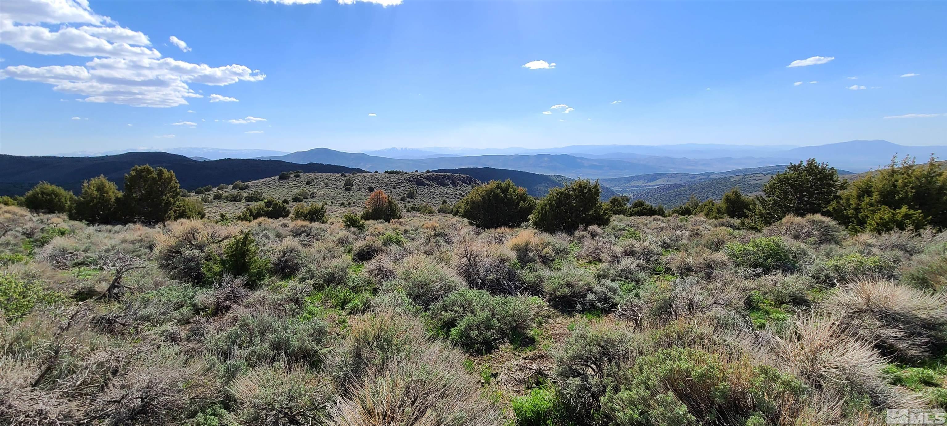 0 Left Hand Canyon Road Property Photo 11