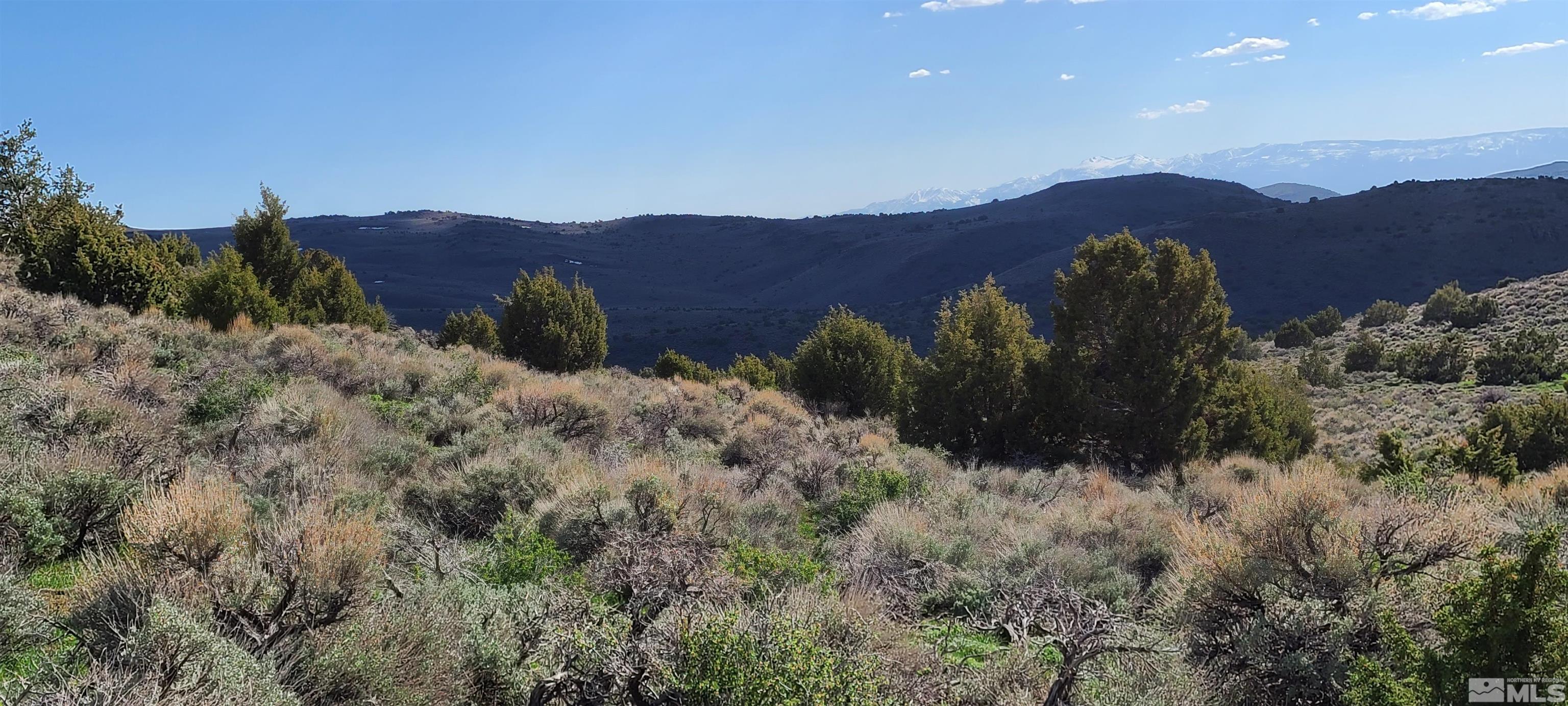 0 Left Hand Canyon Road Property Photo 12