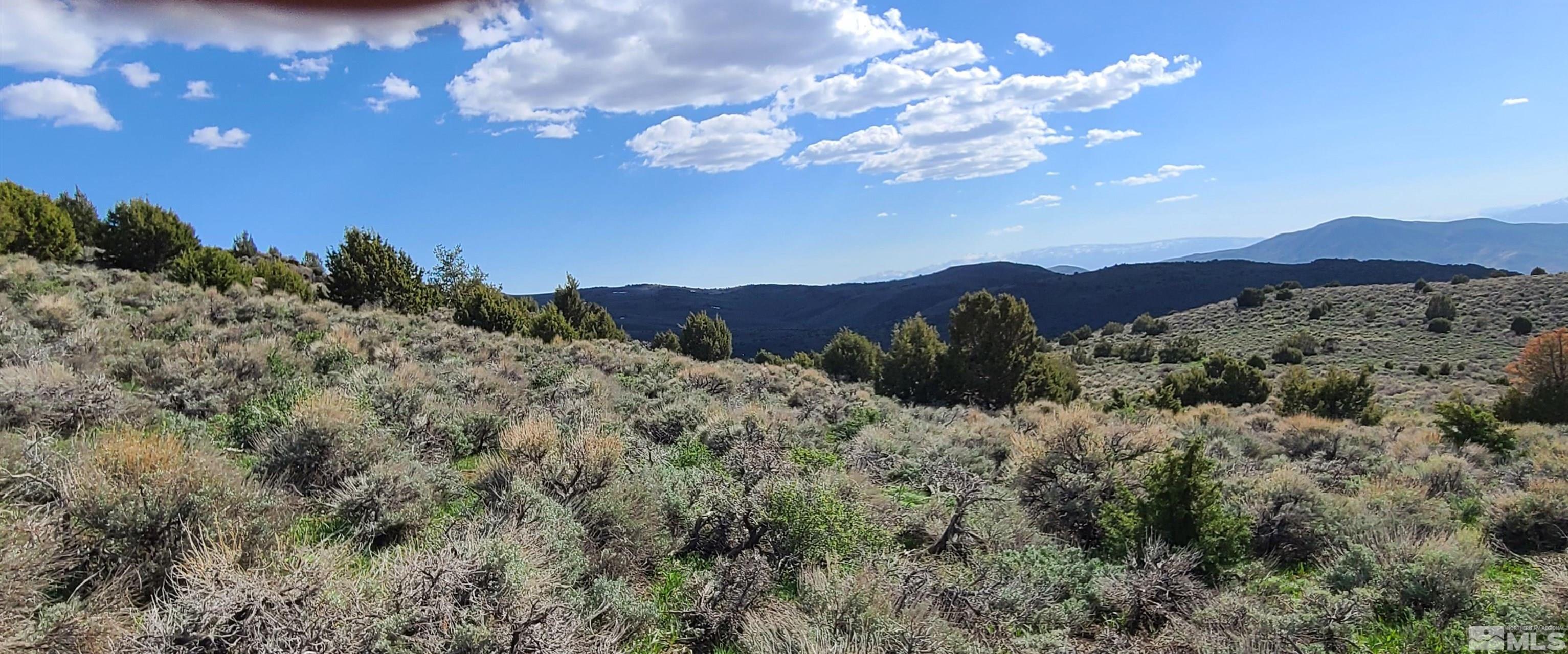 0 Left Hand Canyon Road Property Photo 13