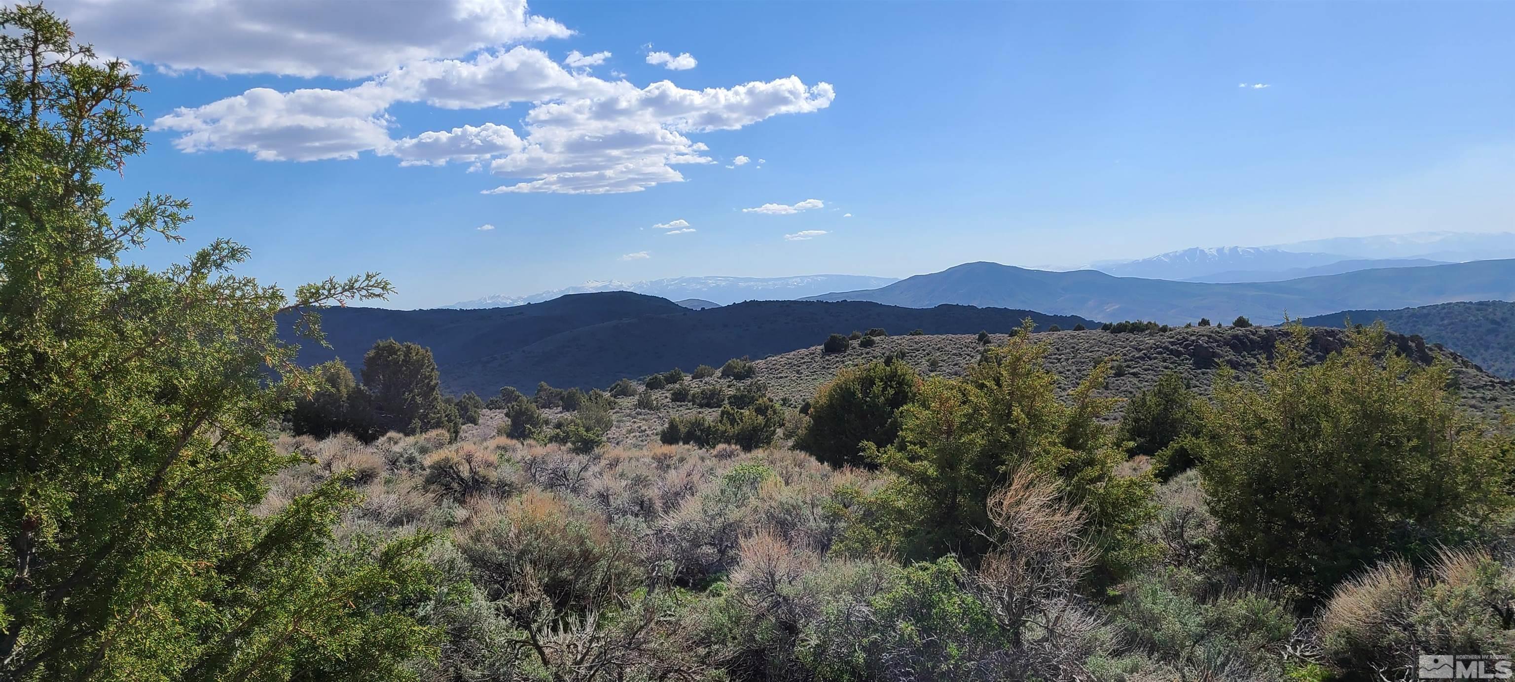 0 Left Hand Canyon Road Property Photo 15