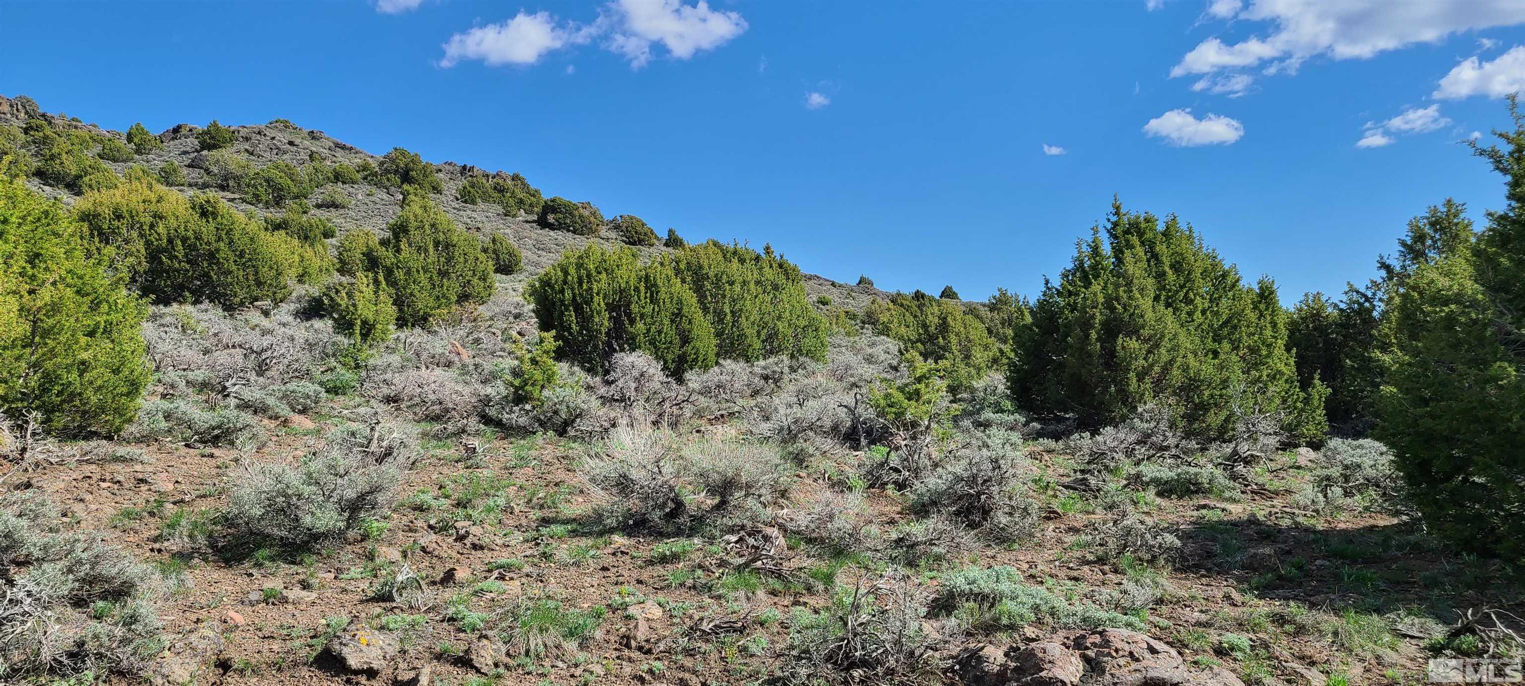 0 Left Hand Canyon Road Property Photo 17