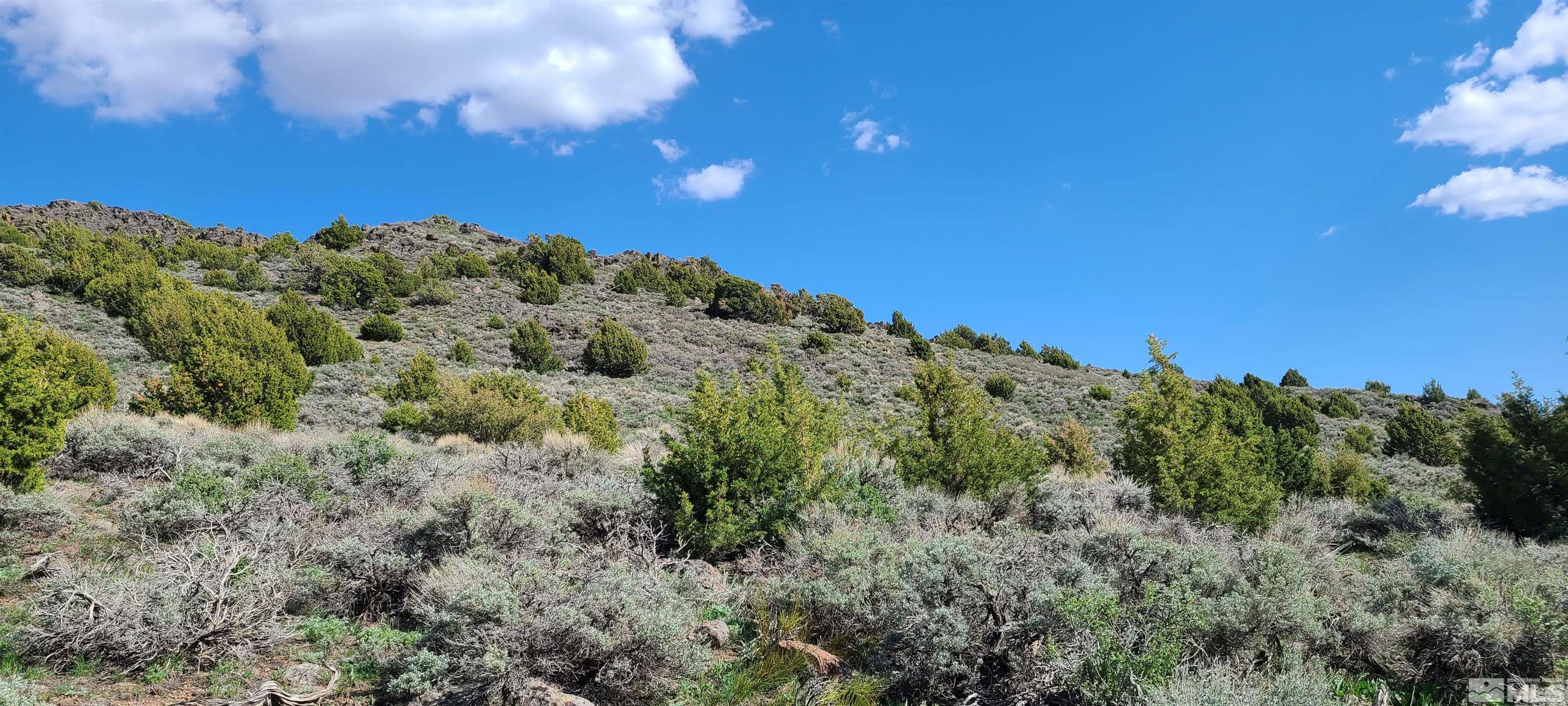 0 Left Hand Canyon Road Property Photo 18