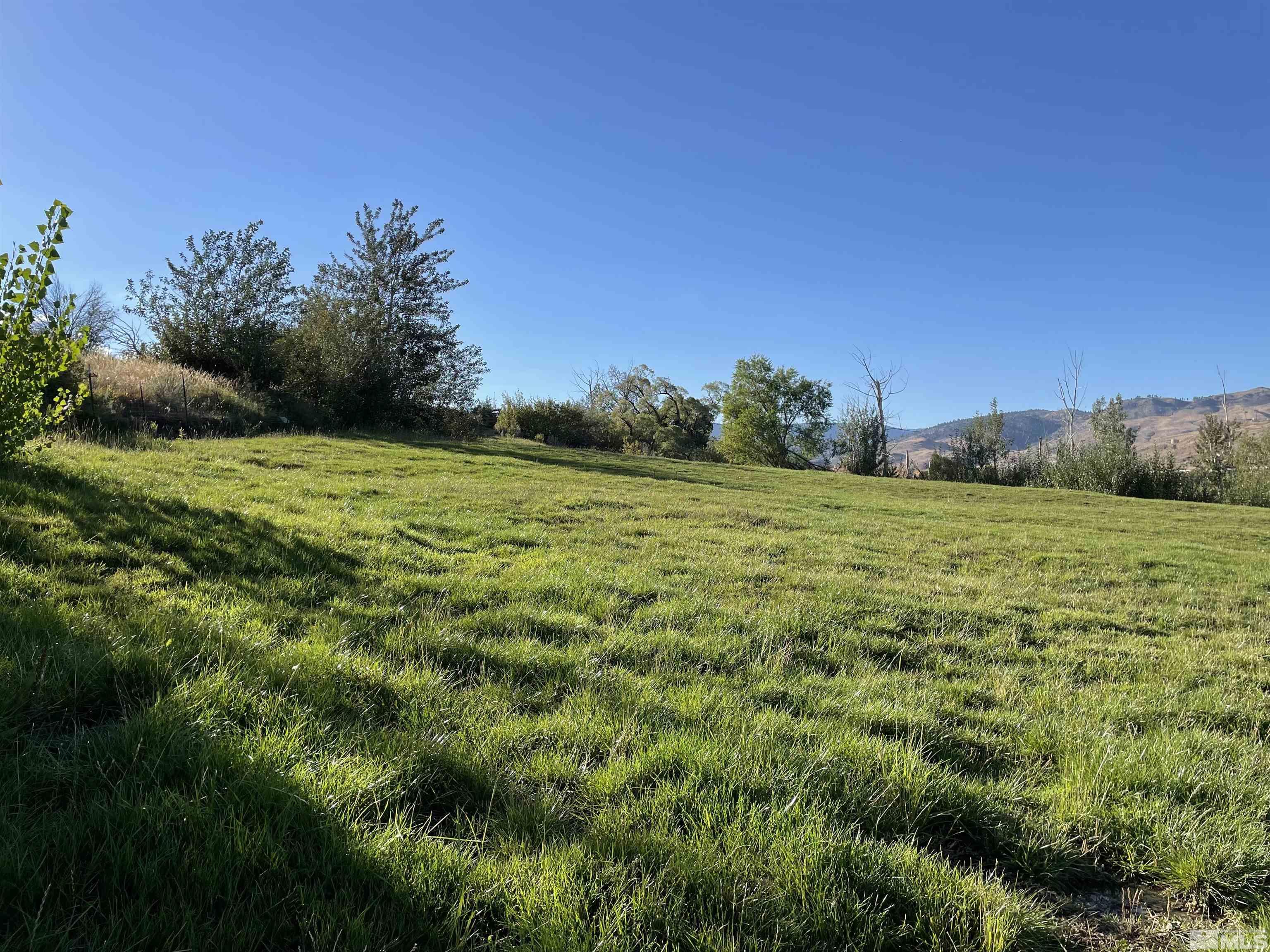 3380 Mario Land Property Photo 3
