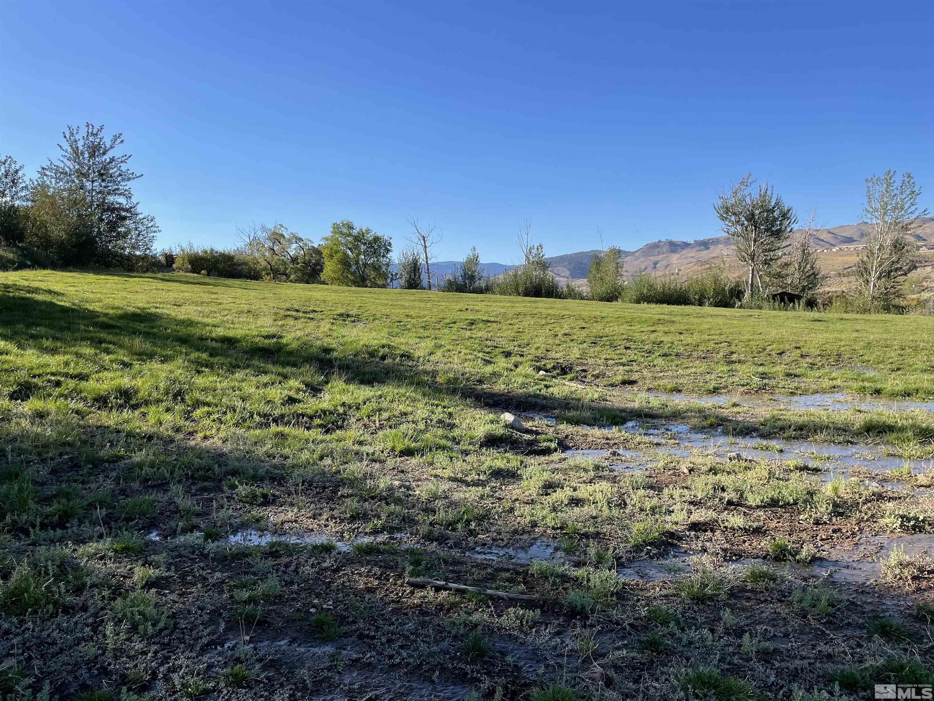 3380 Mario Land Property Photo 6